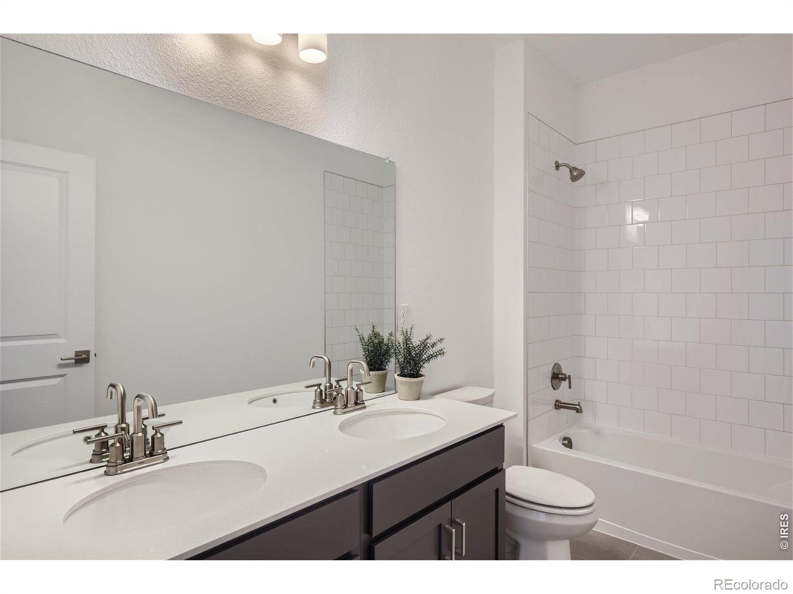 MLS Image #22 for 641  noola street,windsor, Colorado