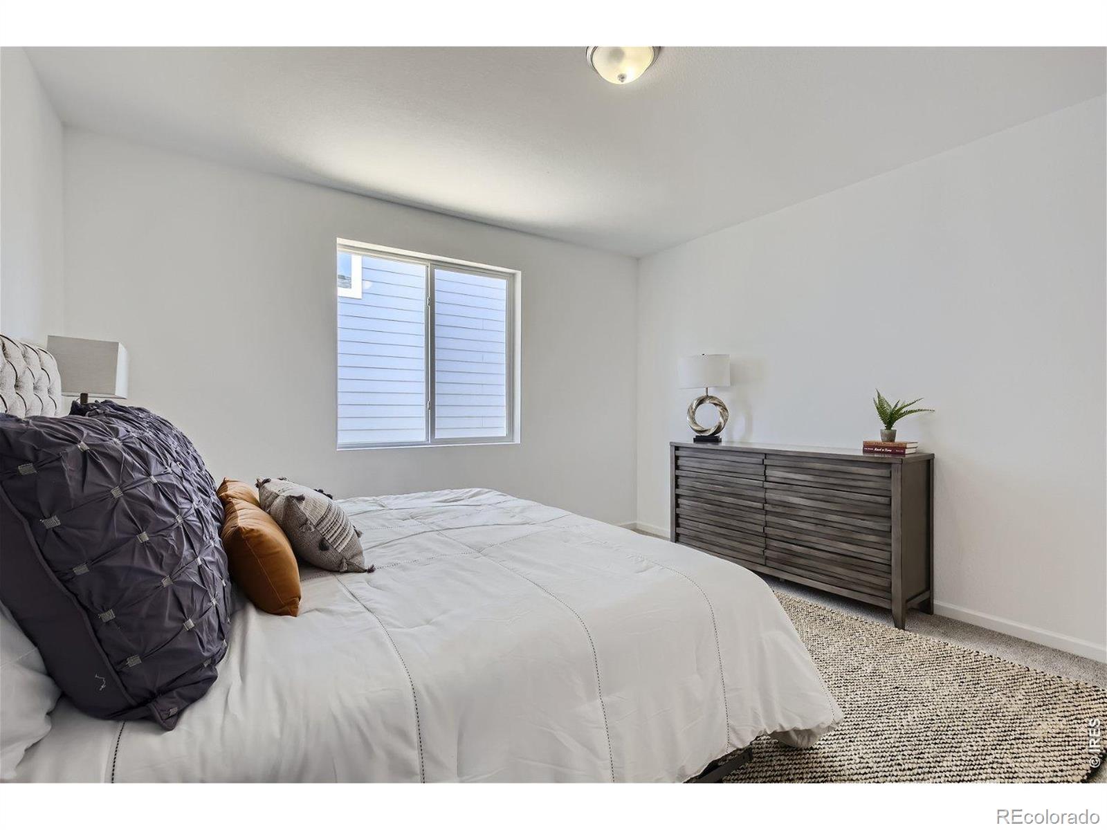 MLS Image #14 for 648  noola street,windsor, Colorado