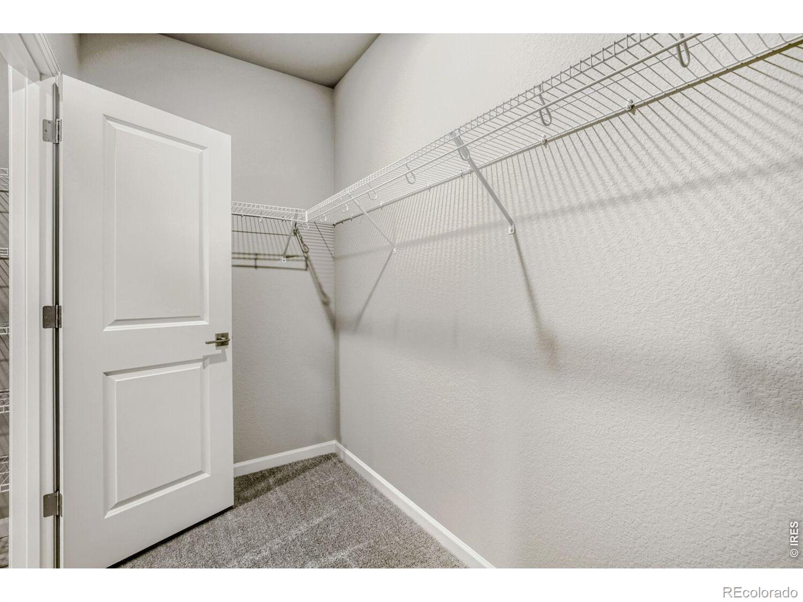MLS Image #17 for 648  noola street,windsor, Colorado