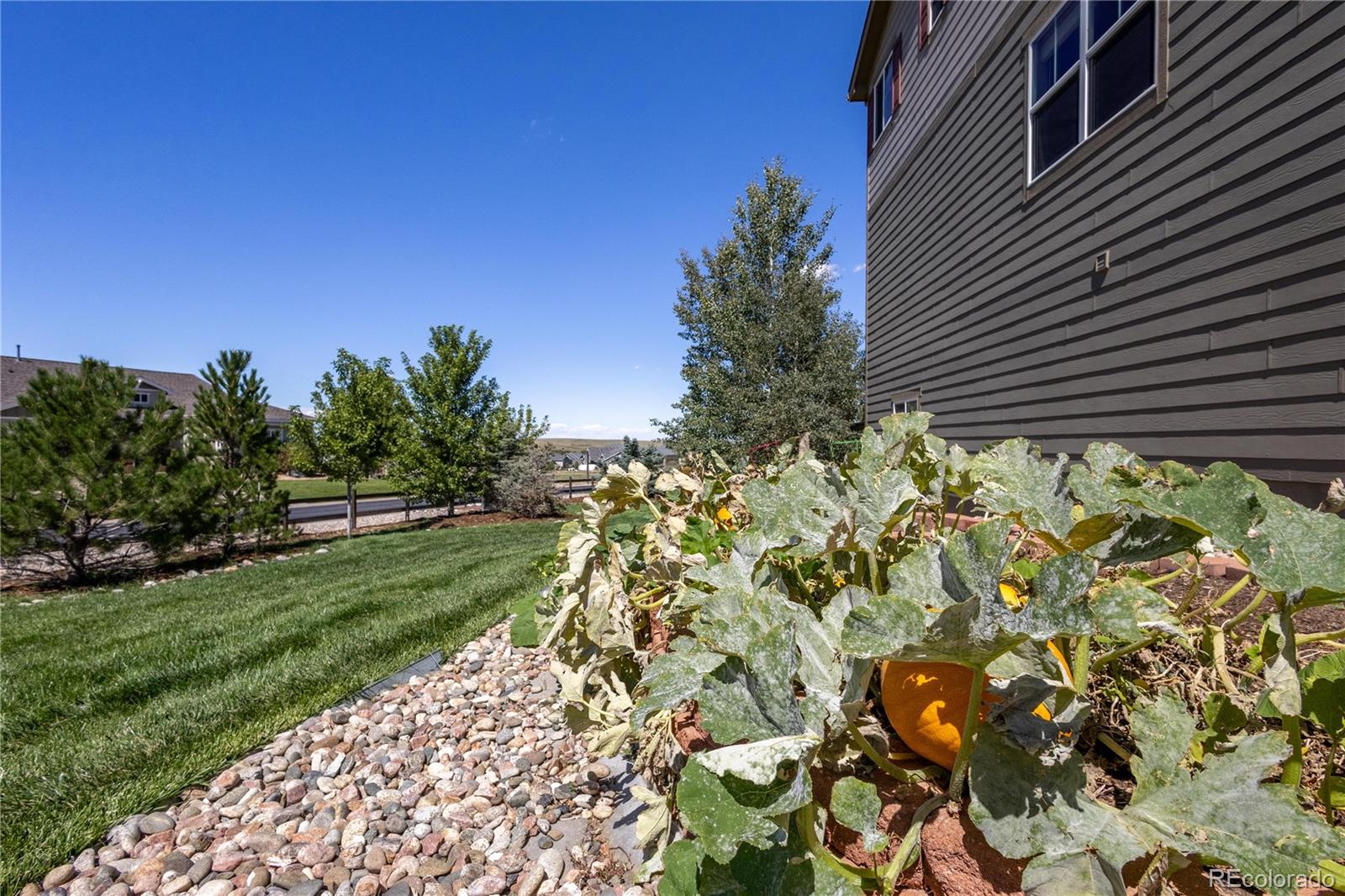 MLS Image #44 for 42003  westchester circle,elizabeth, Colorado