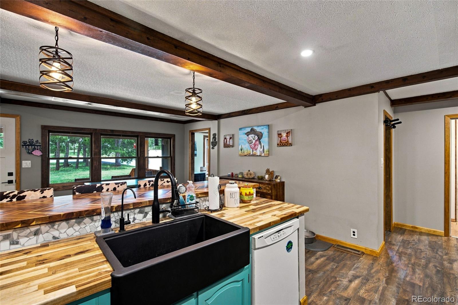 MLS Image #8 for 11729  ranch elsie road,golden, Colorado