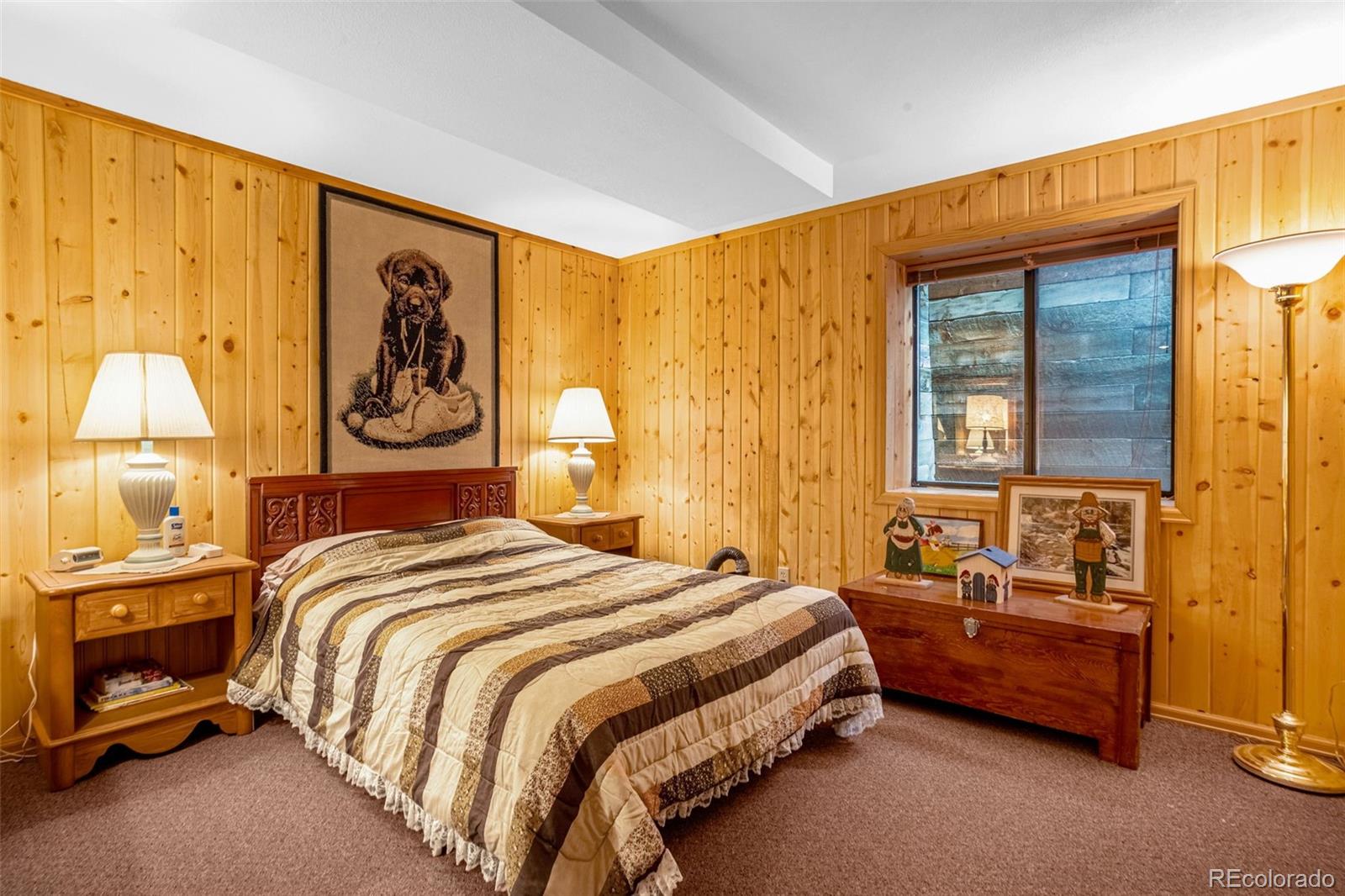 MLS Image #10 for 8855  carroll lakes road,woodland park, Colorado
