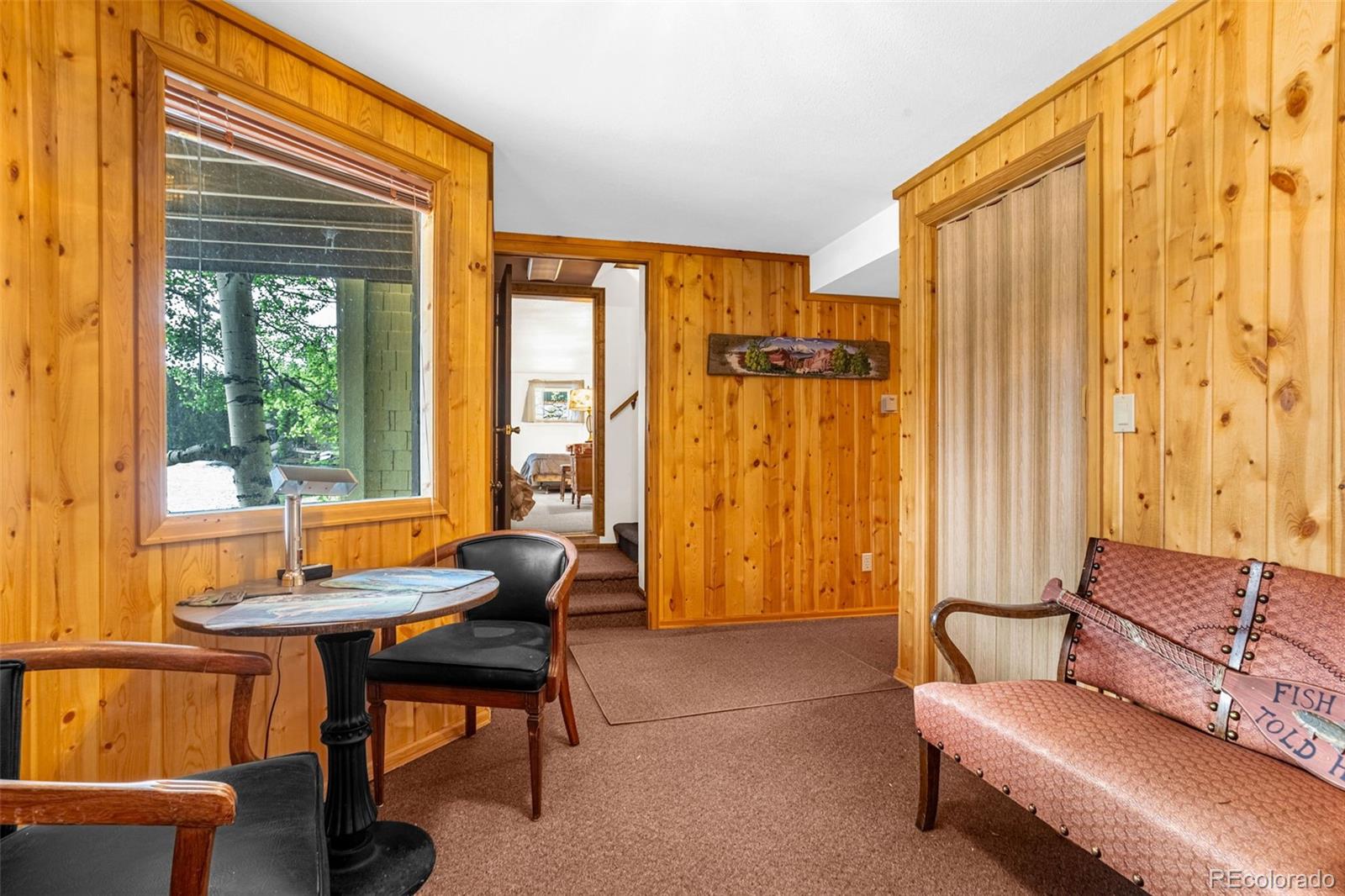 MLS Image #12 for 8855  carroll lakes road,woodland park, Colorado