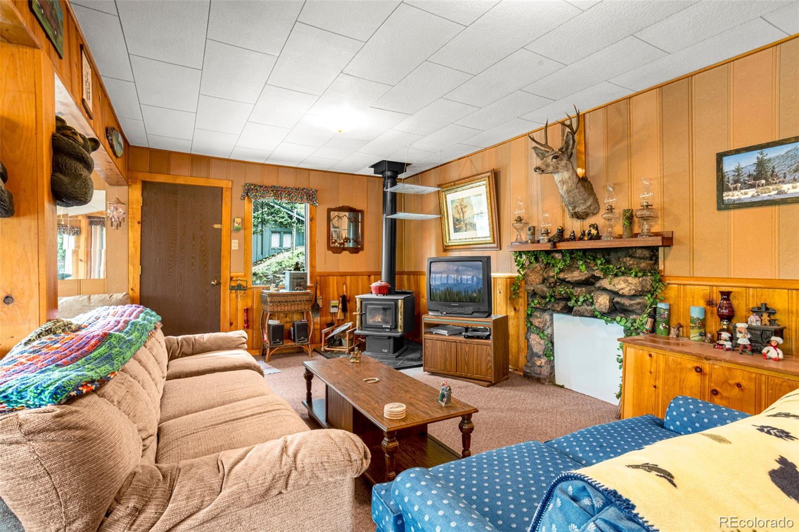 MLS Image #15 for 8855  carroll lakes road,woodland park, Colorado