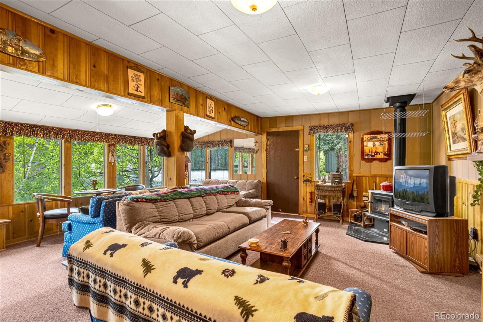 MLS Image #16 for 8855  carroll lakes road,woodland park, Colorado