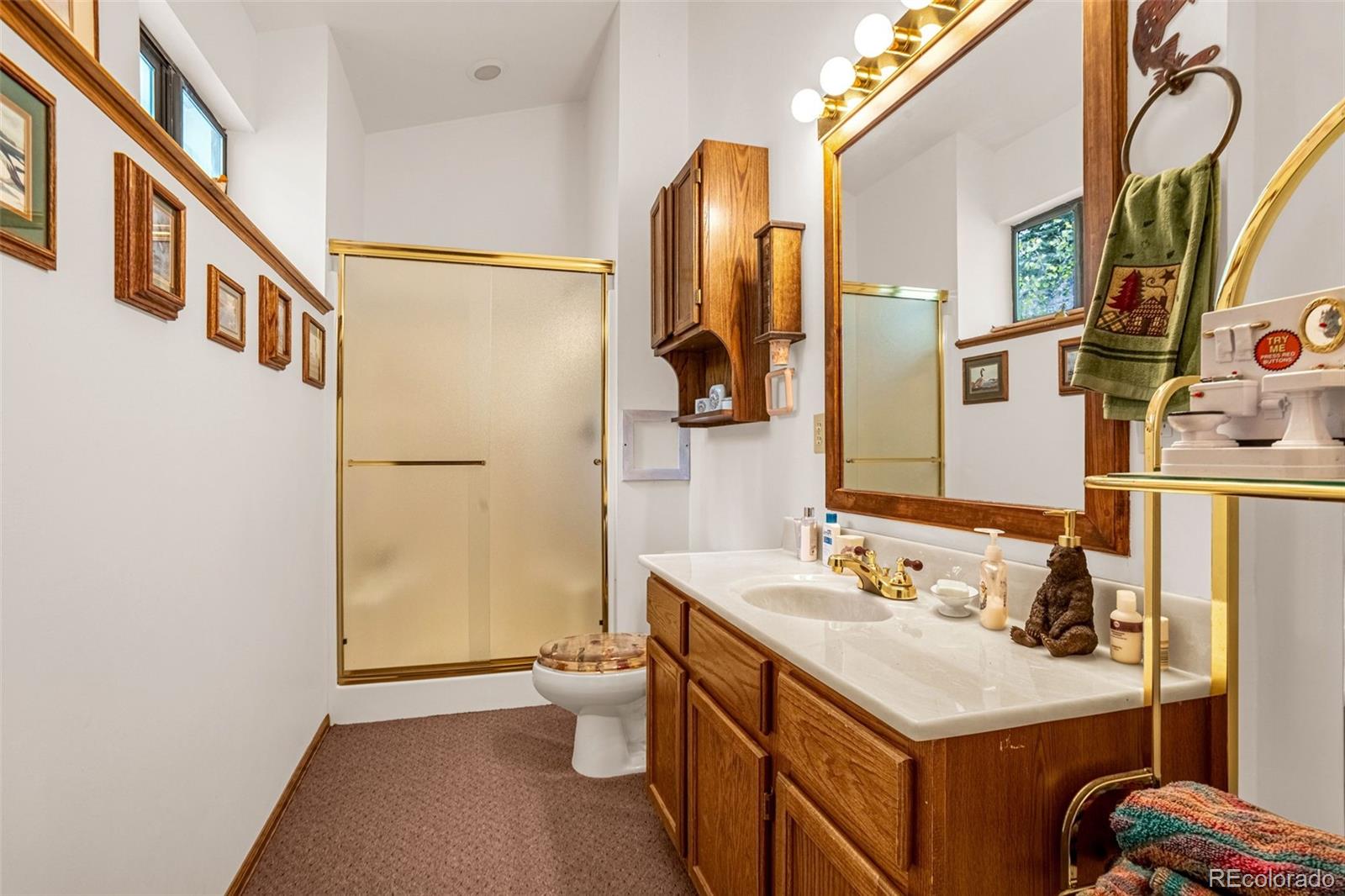 MLS Image #17 for 8855  carroll lakes road,woodland park, Colorado