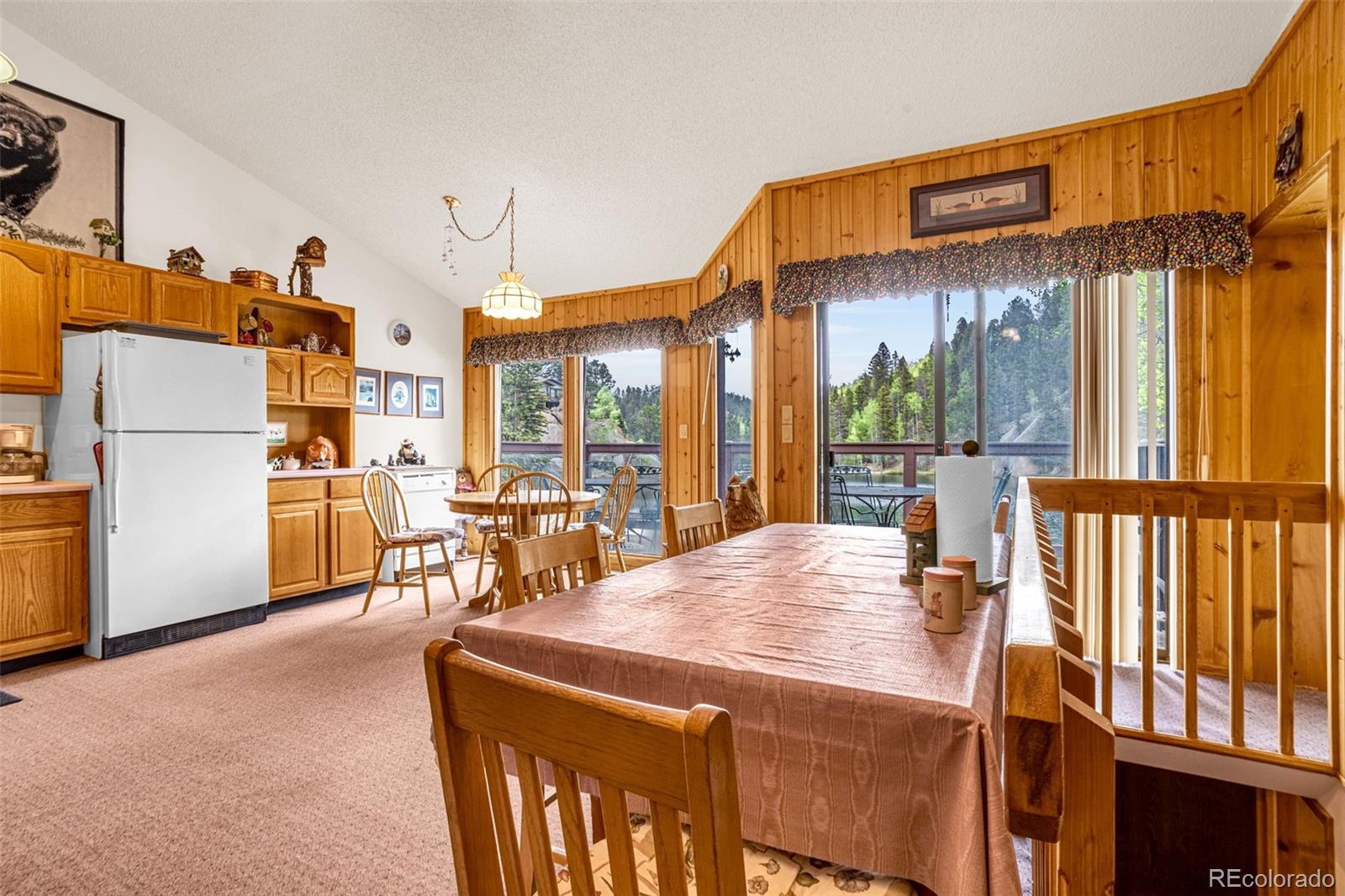MLS Image #18 for 8855  carroll lakes road,woodland park, Colorado