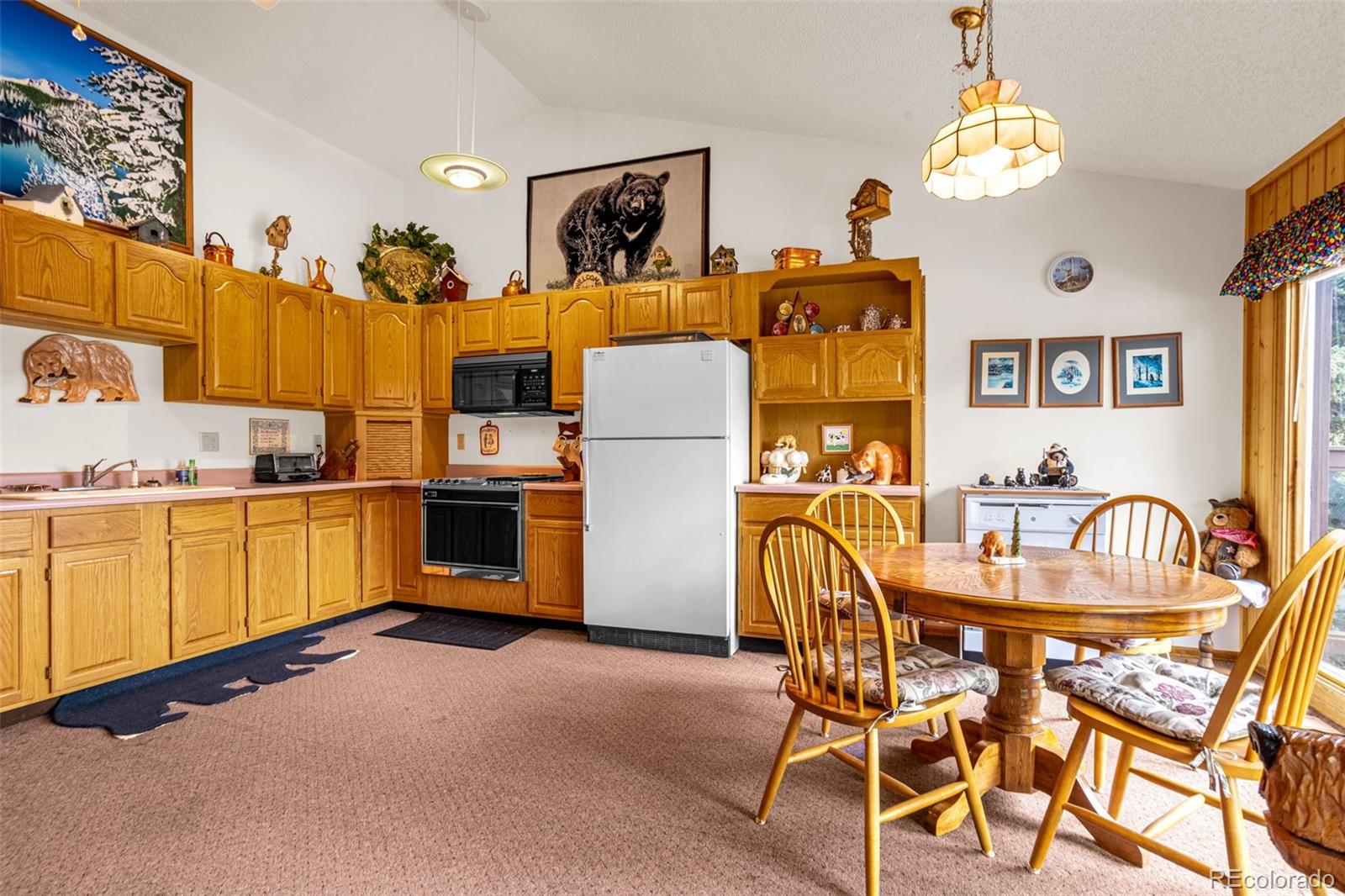 MLS Image #19 for 8855  carroll lakes road,woodland park, Colorado