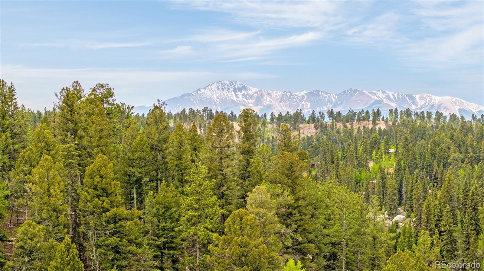 MLS Image #2 for 8855  carroll lakes road,woodland park, Colorado