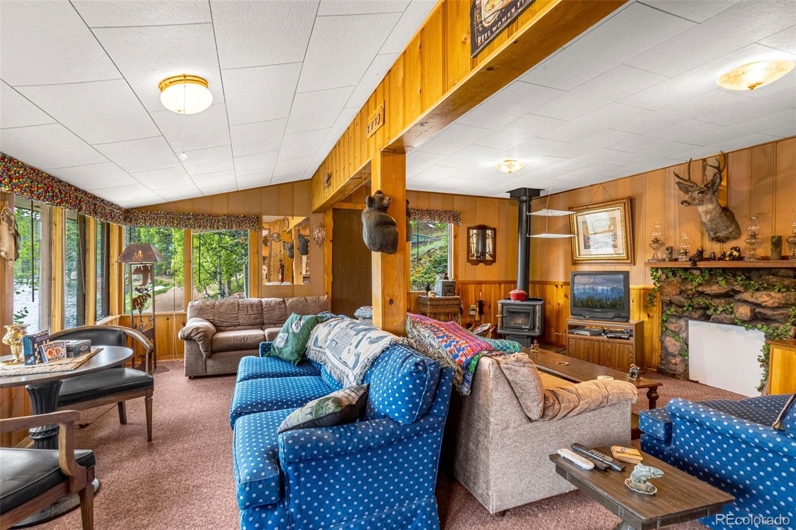 MLS Image #21 for 8855  carroll lakes road,woodland park, Colorado