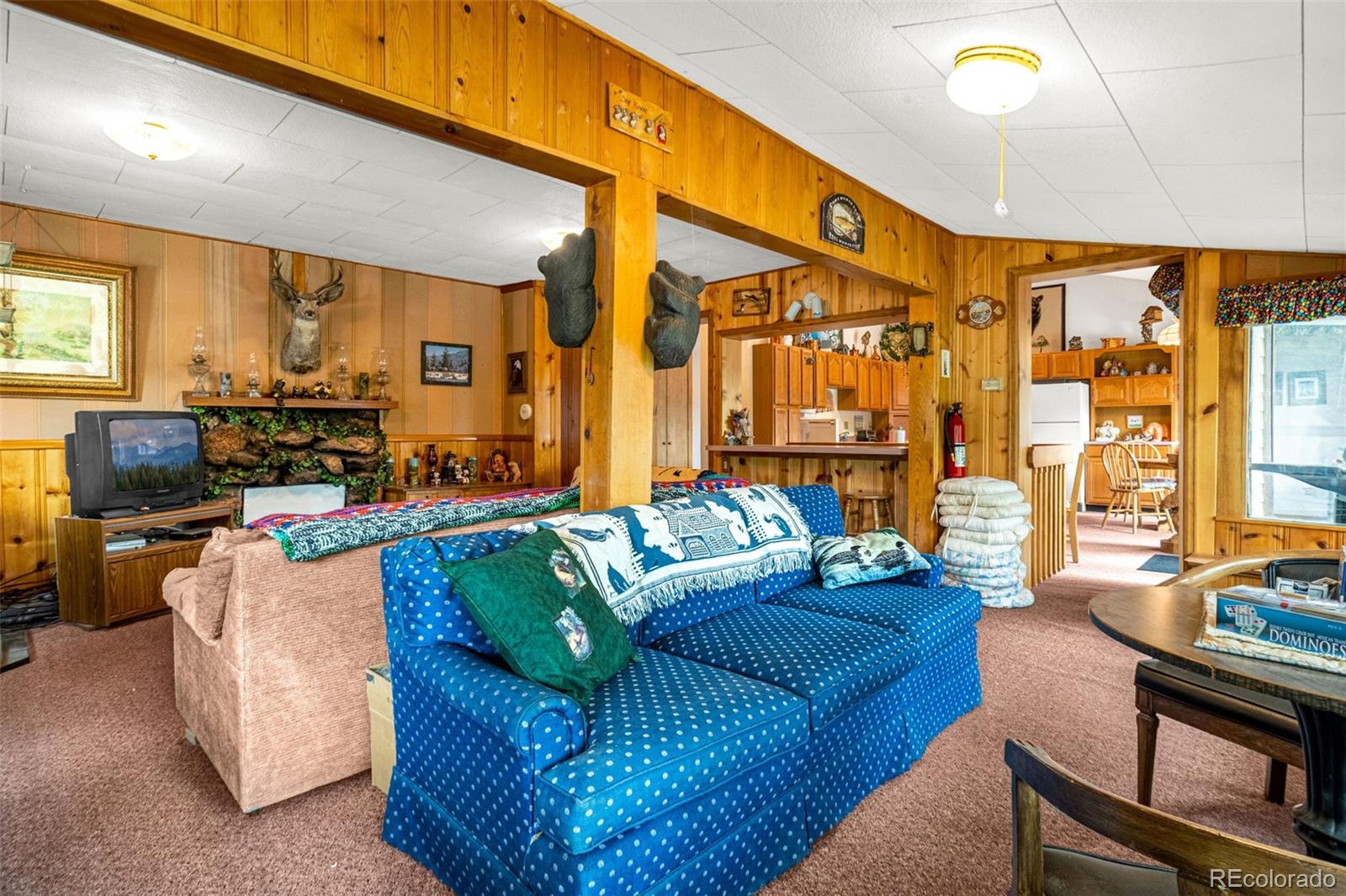 MLS Image #22 for 8855  carroll lakes road,woodland park, Colorado
