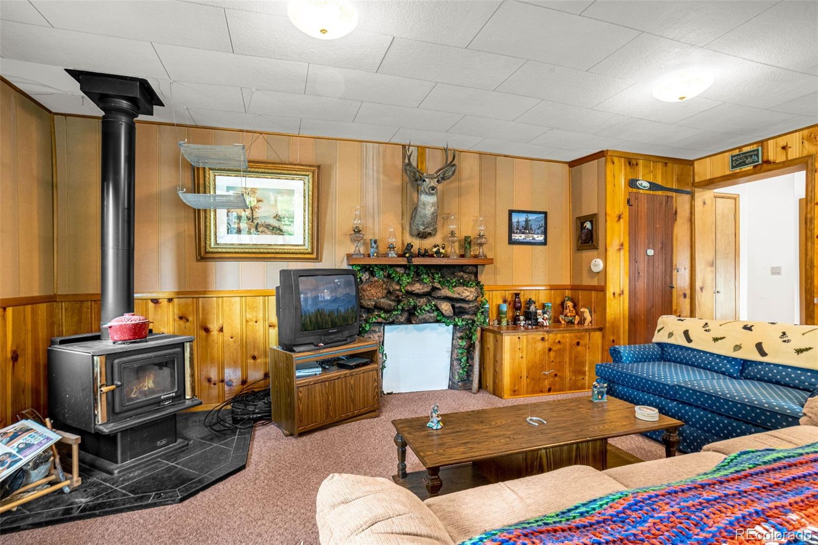 MLS Image #23 for 8855  carroll lakes road,woodland park, Colorado