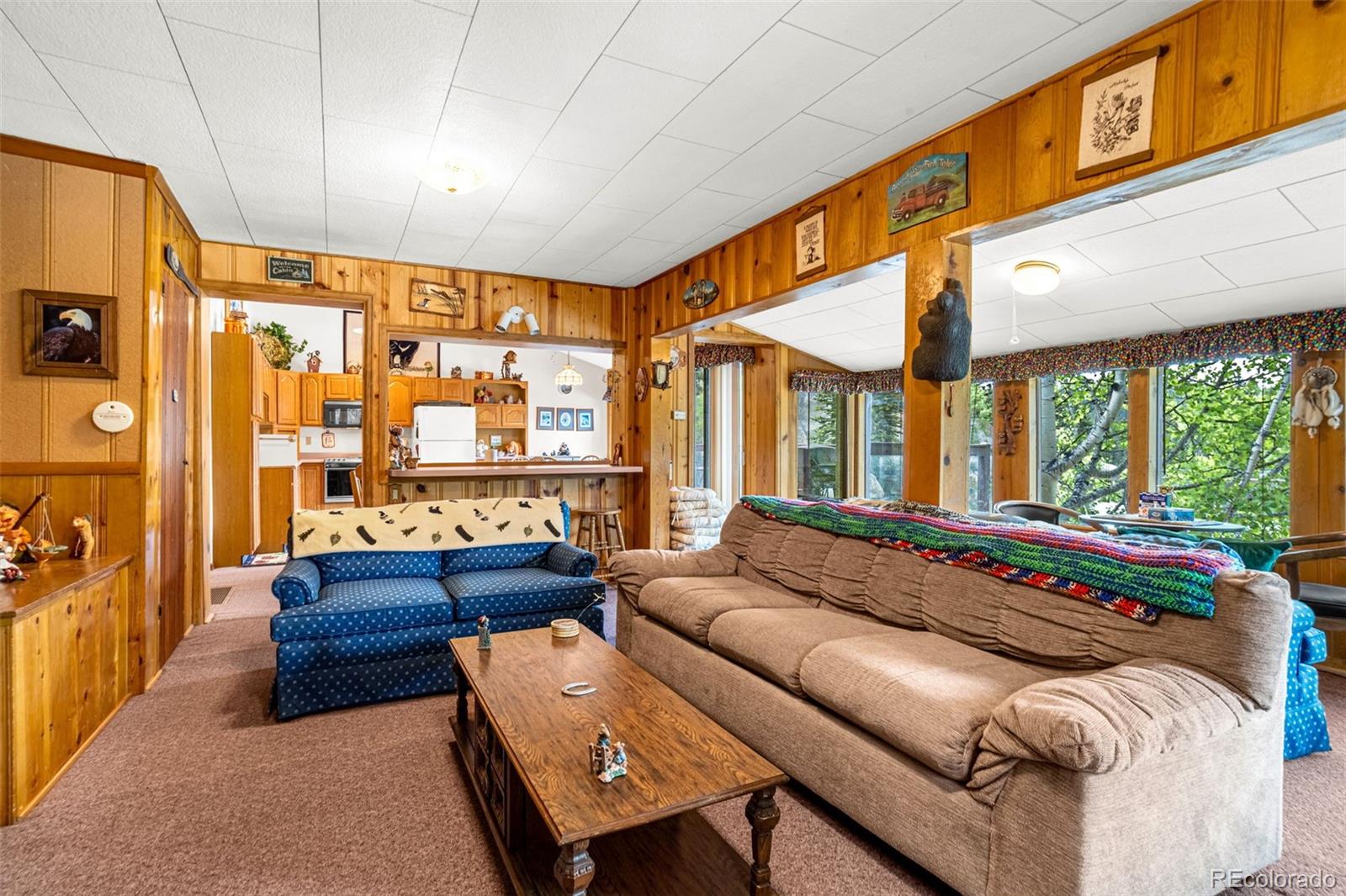 MLS Image #24 for 8855  carroll lakes road,woodland park, Colorado