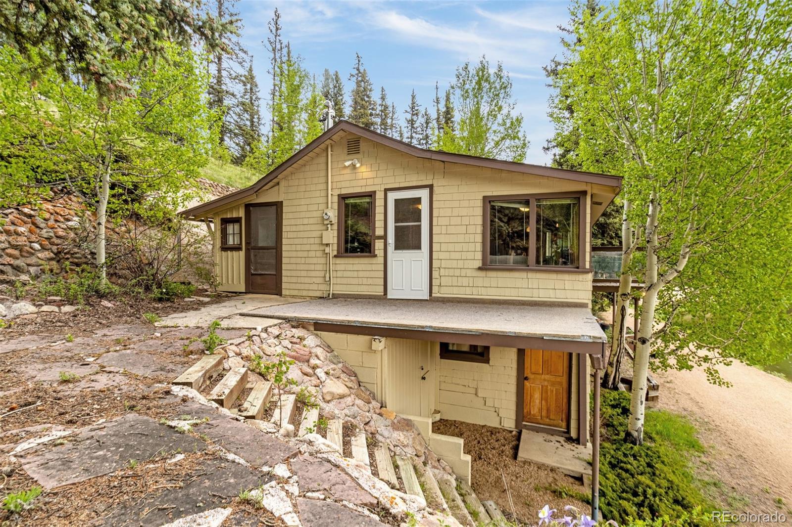 MLS Image #27 for 8855  carroll lakes road,woodland park, Colorado