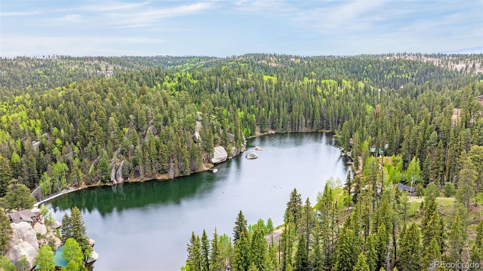 MLS Image #4 for 8855  carroll lakes road,woodland park, Colorado