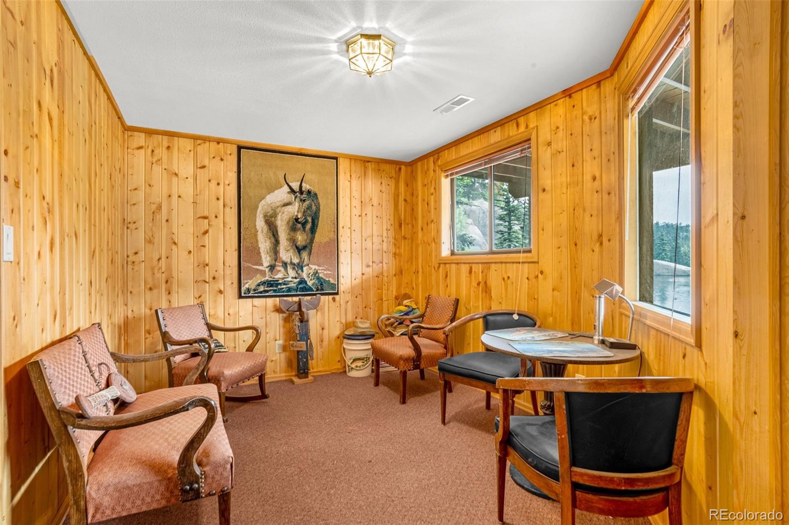 MLS Image #9 for 8855  carroll lakes road,woodland park, Colorado