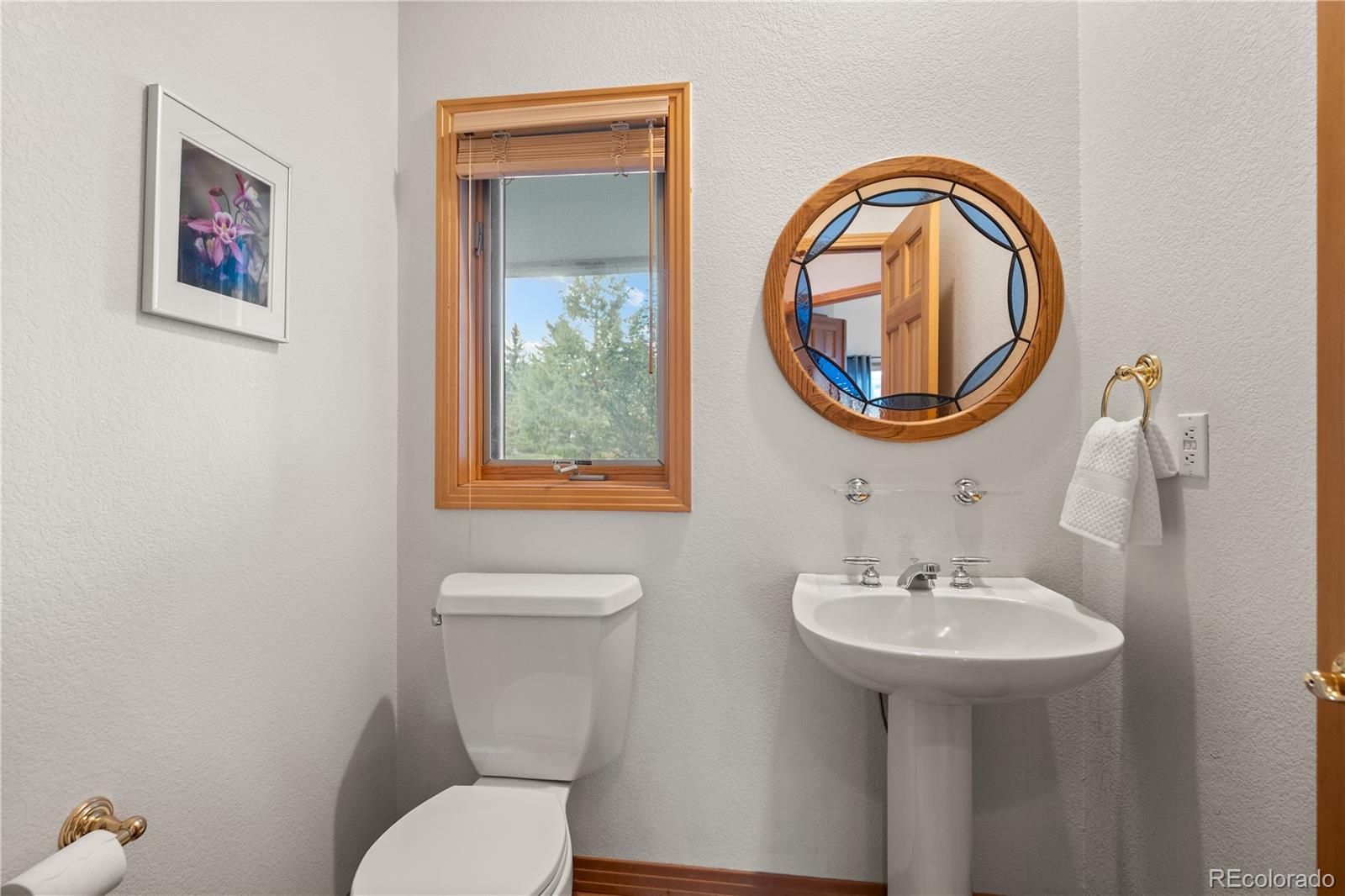MLS Image #12 for 32342  little bear court,evergreen, Colorado