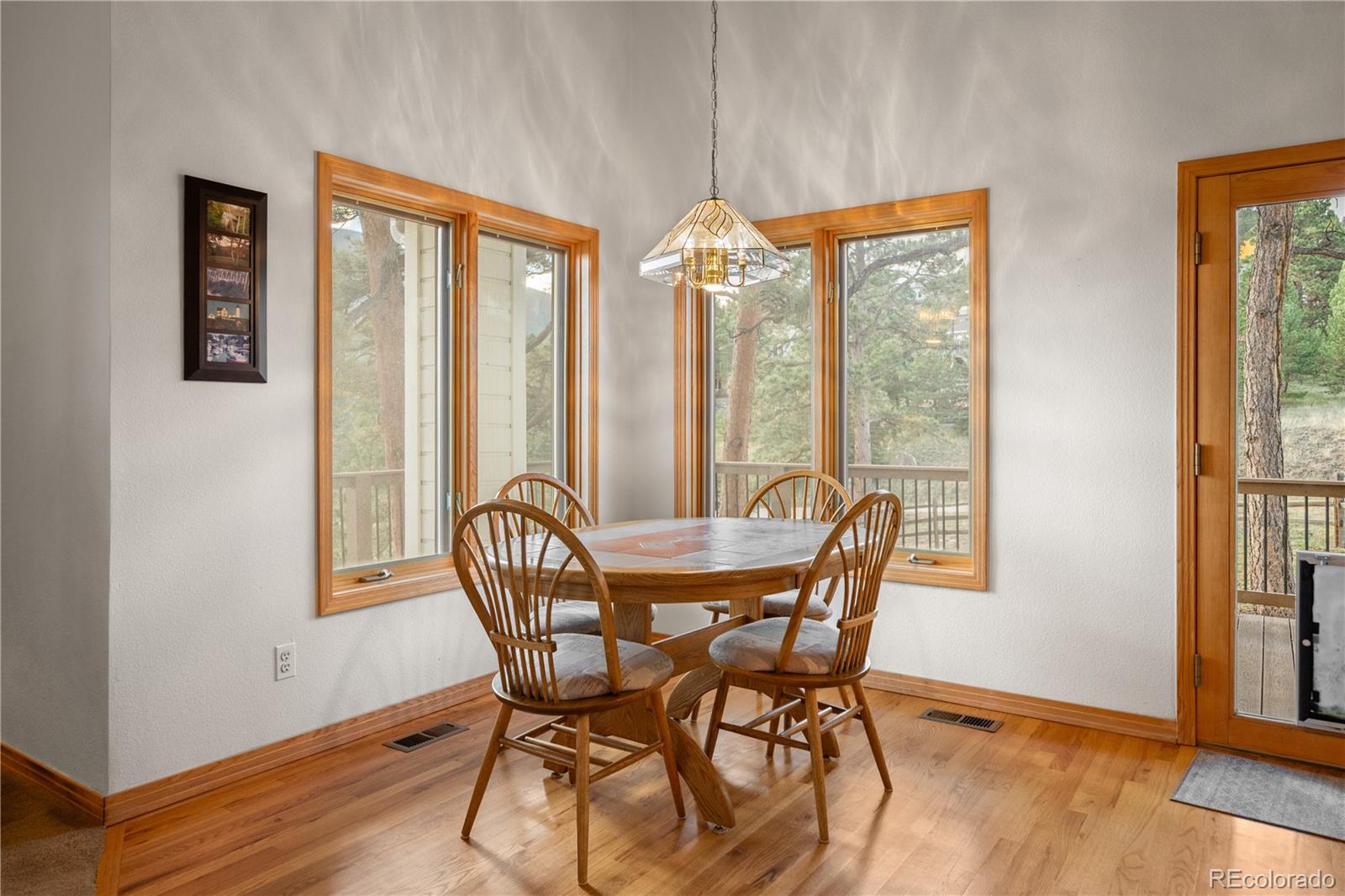MLS Image #13 for 32342  little bear court,evergreen, Colorado