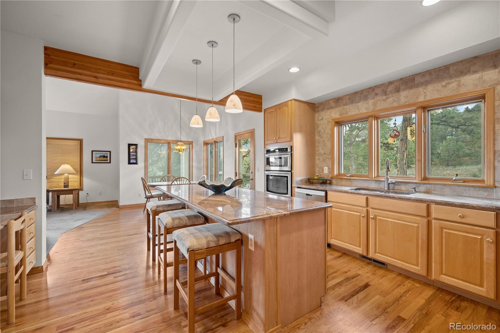 MLS Image #18 for 32342  little bear court,evergreen, Colorado