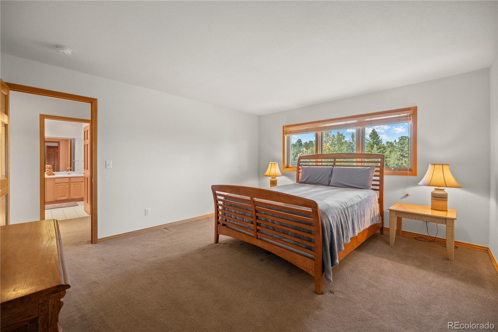 MLS Image #27 for 32342  little bear court,evergreen, Colorado