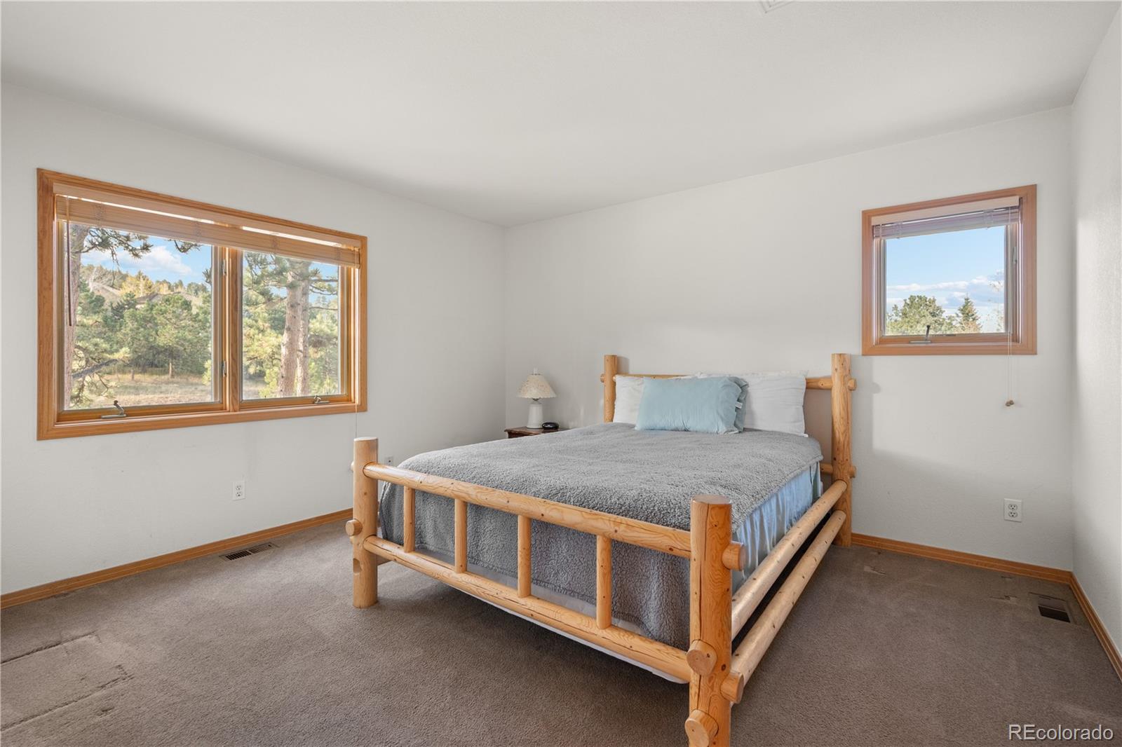 MLS Image #29 for 32342  little bear court,evergreen, Colorado