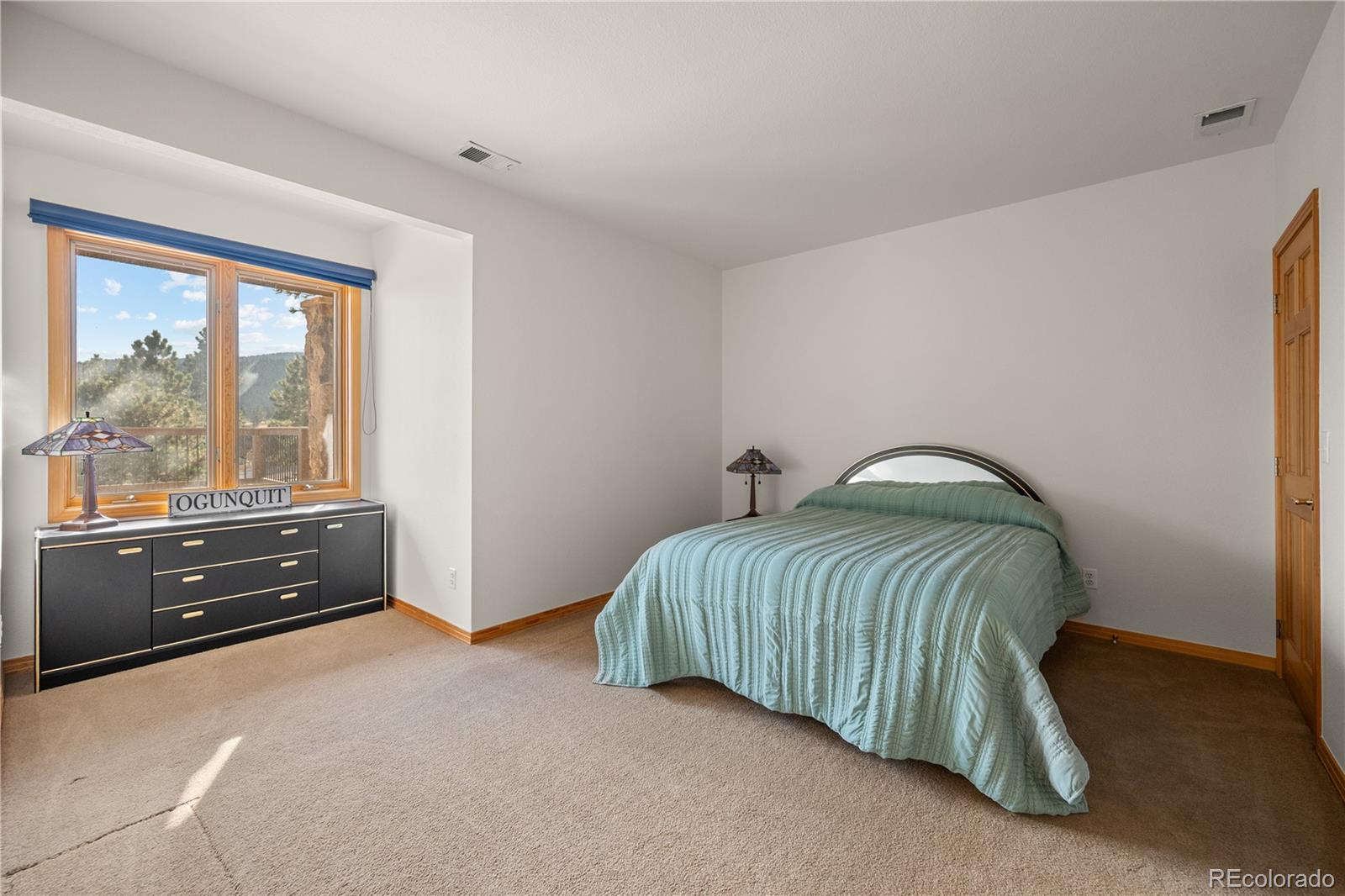 MLS Image #39 for 32342  little bear court,evergreen, Colorado