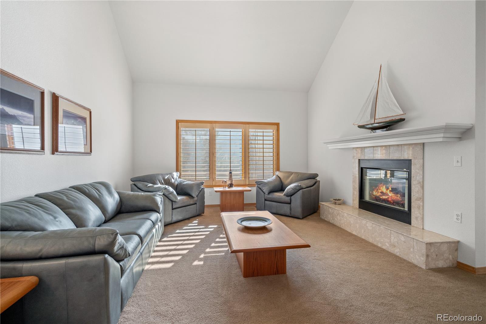 MLS Image #6 for 32342  little bear court,evergreen, Colorado