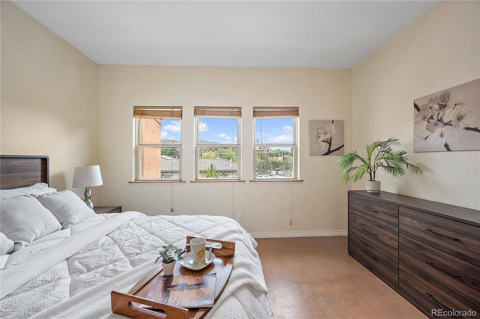 MLS Image #16 for 18  taos place,manitou springs, Colorado