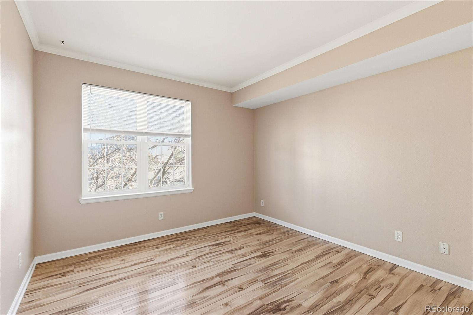 MLS Image #20 for 12766  ironstone way,parker, Colorado