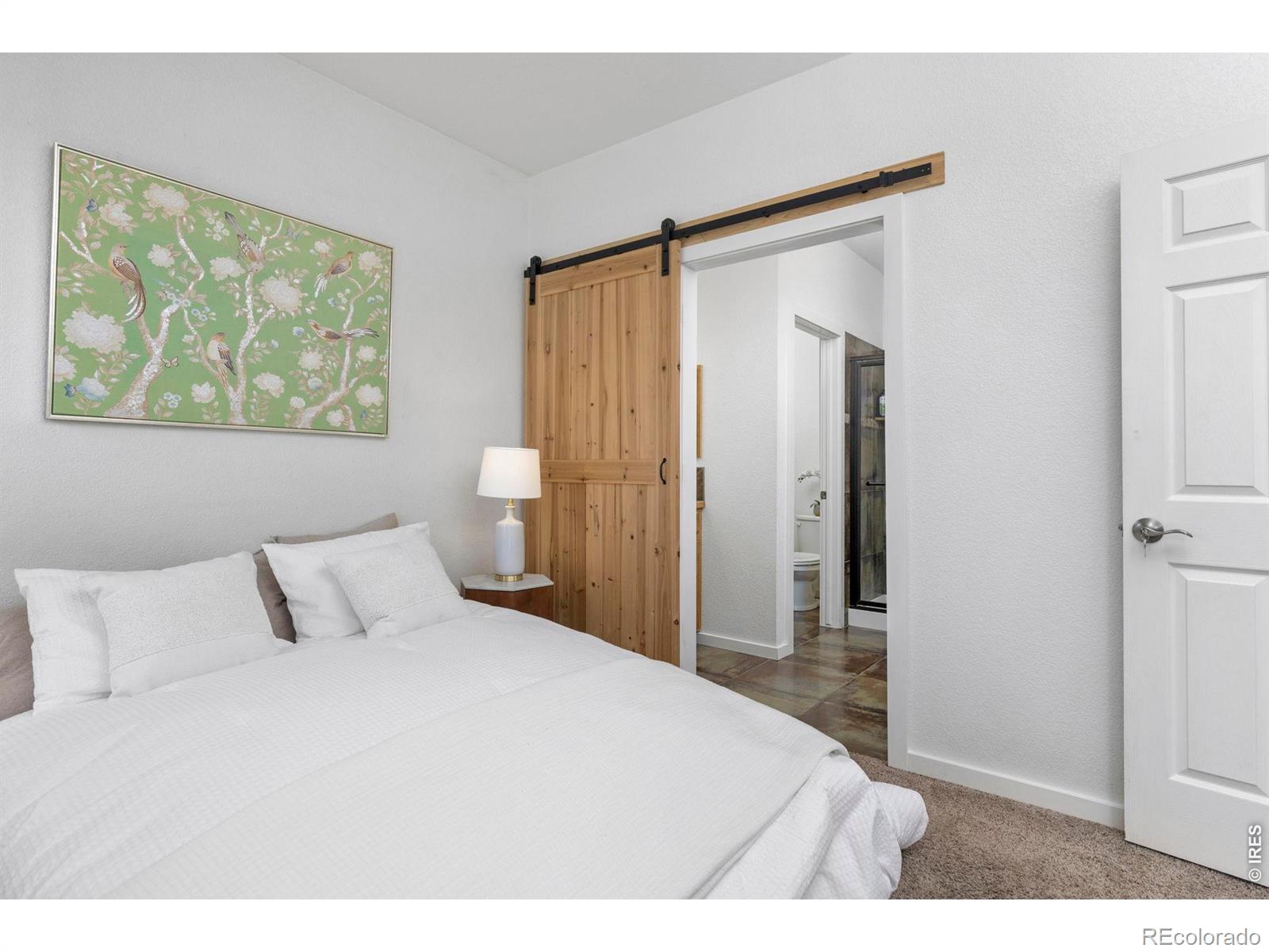MLS Image #17 for 171  cobalt avenue,loveland, Colorado