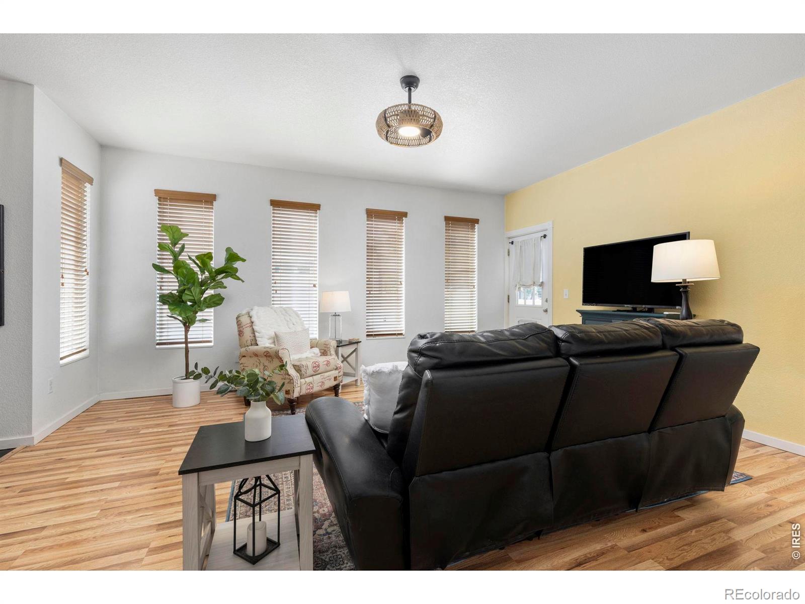MLS Image #6 for 171  cobalt avenue,loveland, Colorado