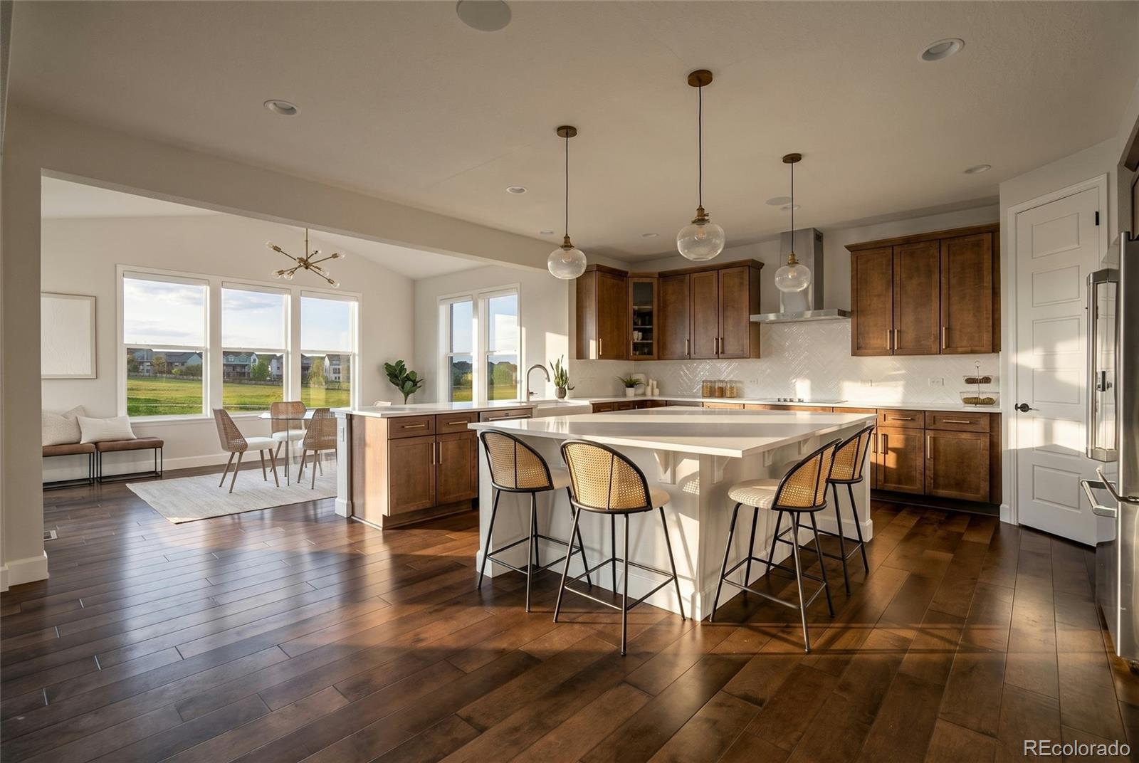 MLS Image #11 for 9105  swan river street,littleton, Colorado