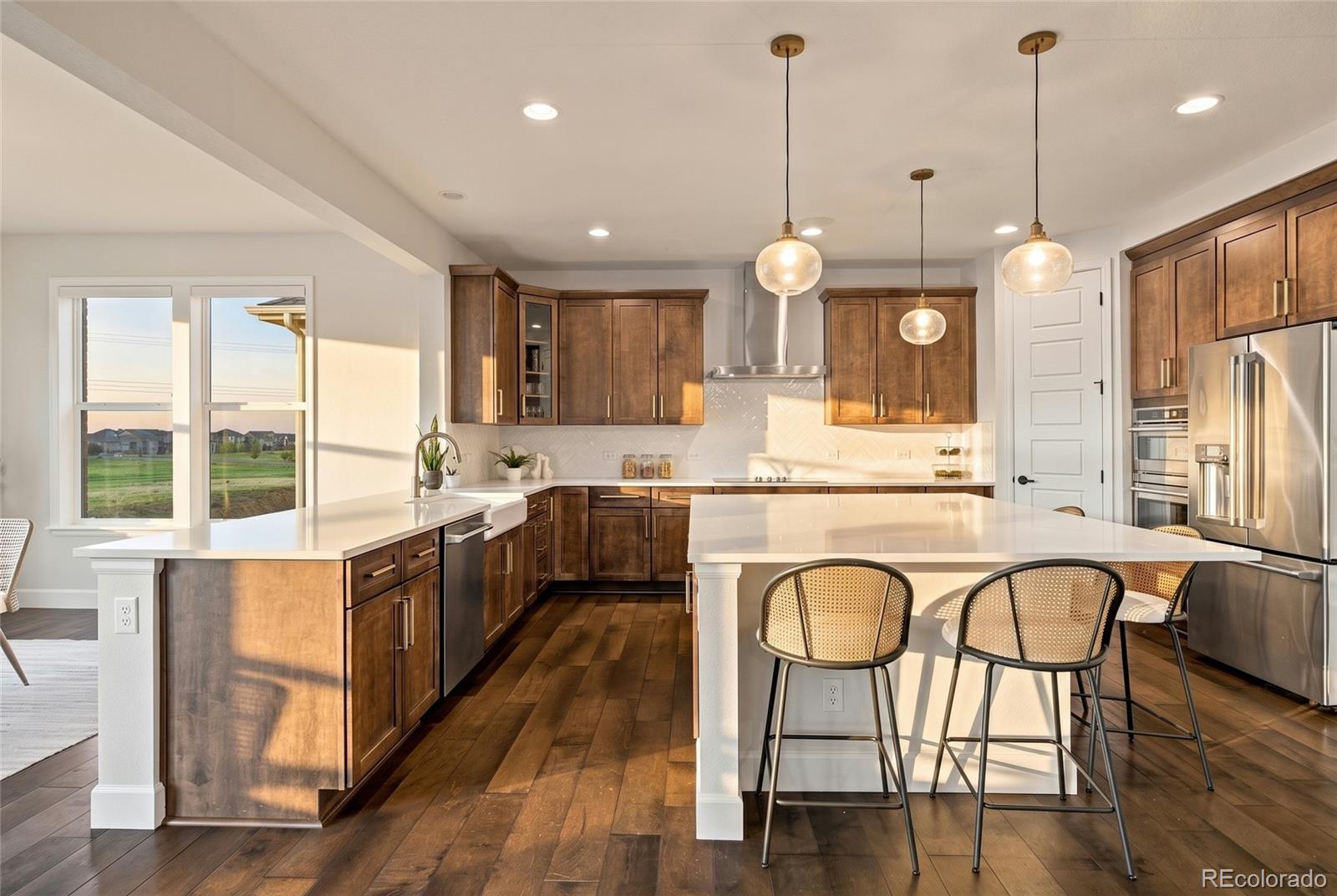 MLS Image #12 for 9105  swan river street,littleton, Colorado