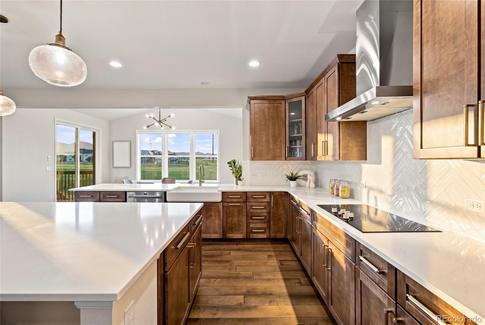 MLS Image #16 for 9105  swan river street,littleton, Colorado