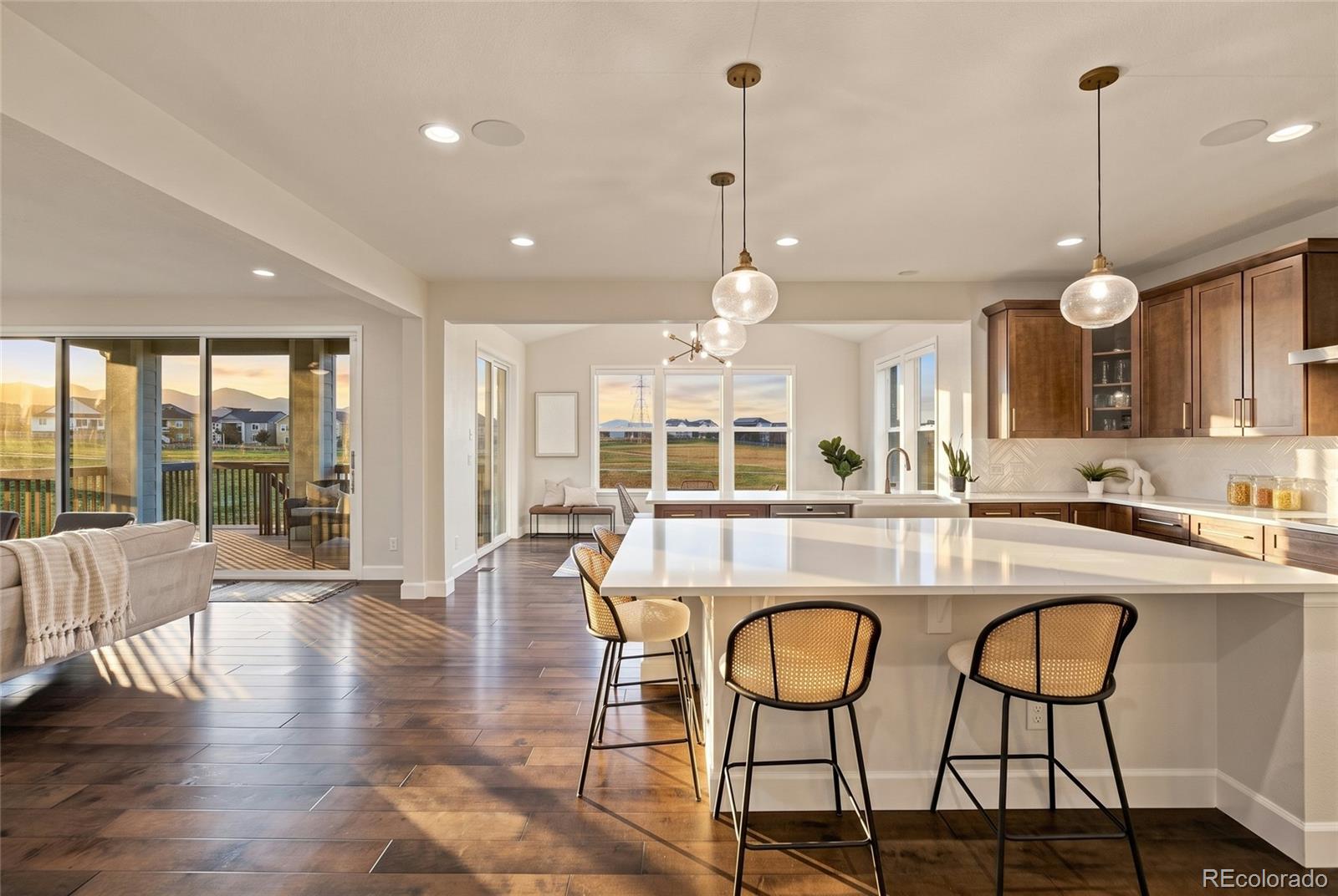MLS Image #17 for 9105  swan river street,littleton, Colorado