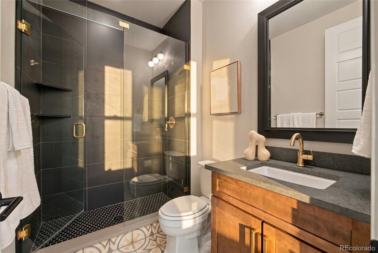 MLS Image #21 for 9105  swan river street,littleton, Colorado