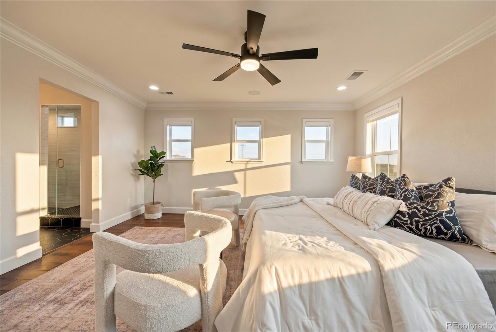 MLS Image #26 for 9105  swan river street,littleton, Colorado