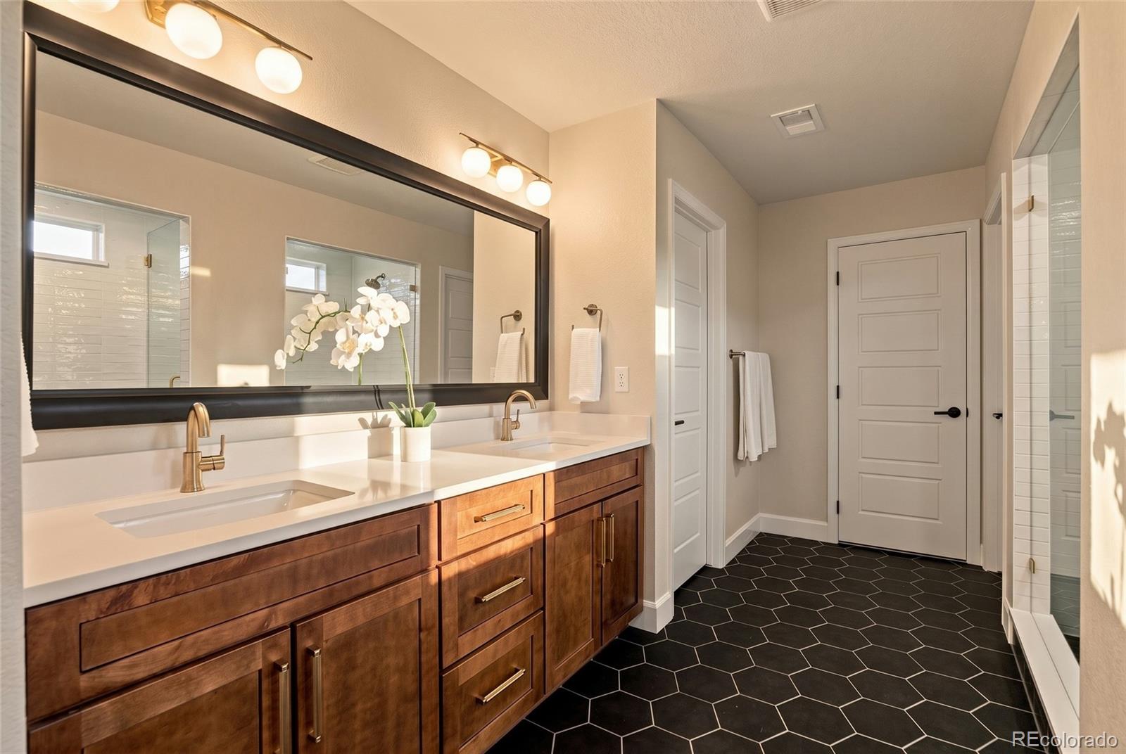 MLS Image #27 for 9105  swan river street,littleton, Colorado