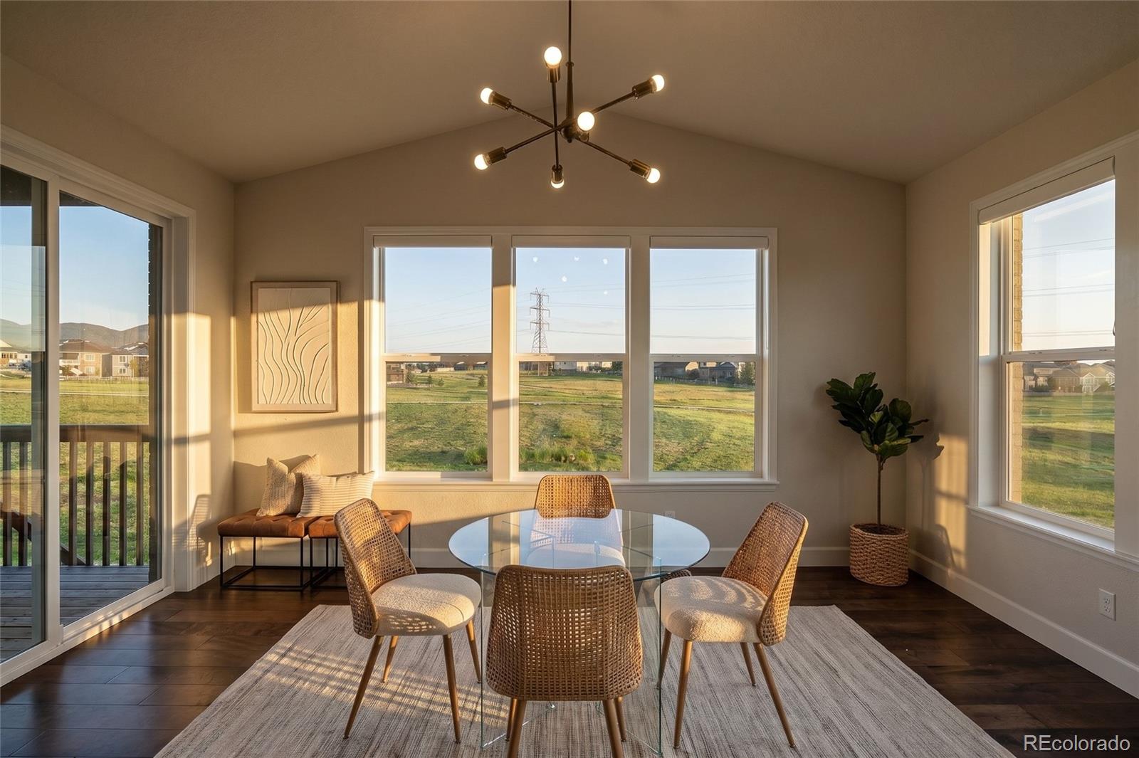 MLS Image #8 for 9105  swan river street,littleton, Colorado