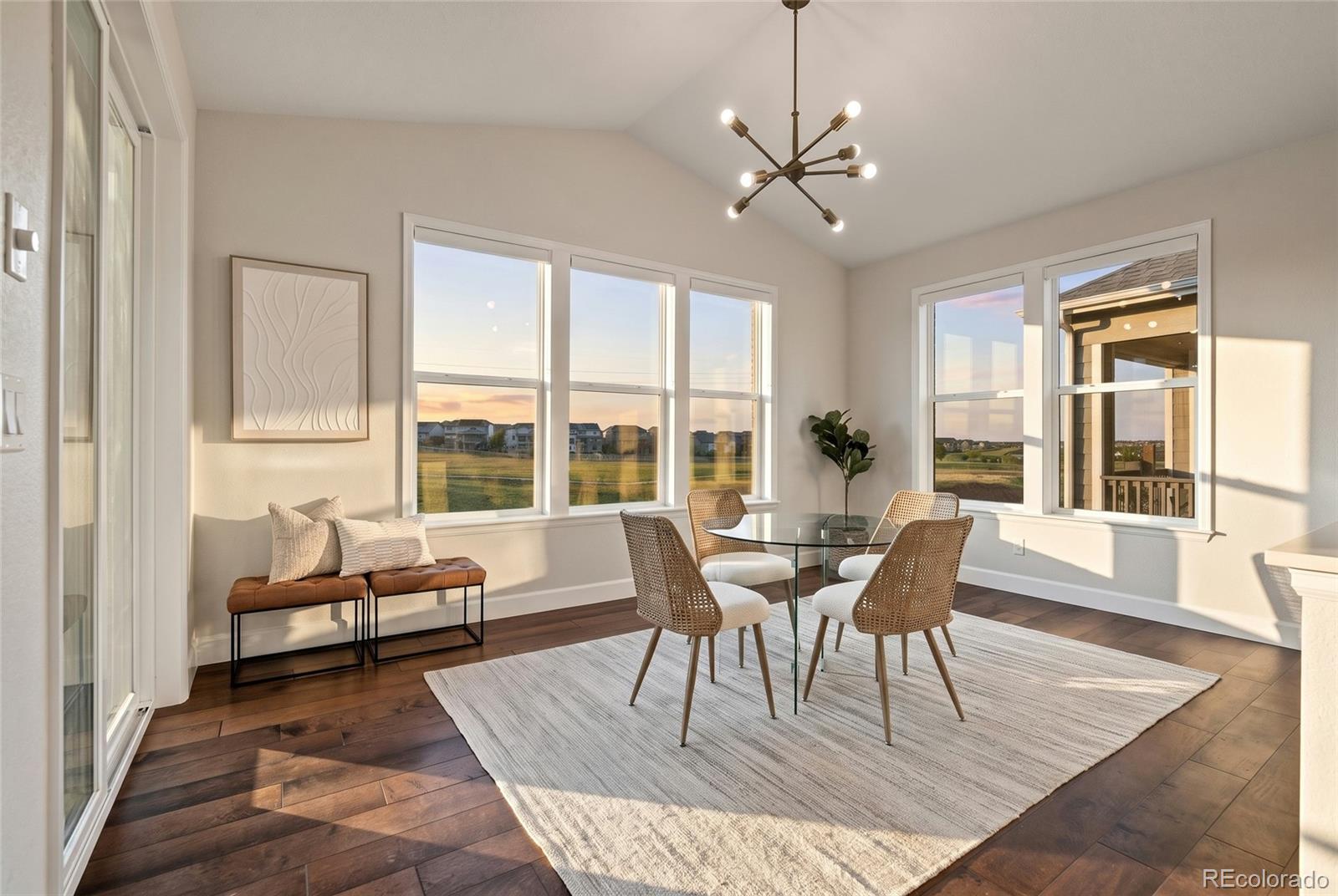 MLS Image #9 for 9105  swan river street,littleton, Colorado