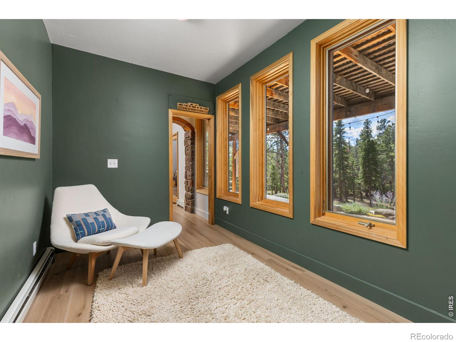 MLS Image #18 for 25  shoshoni way,nederland, Colorado