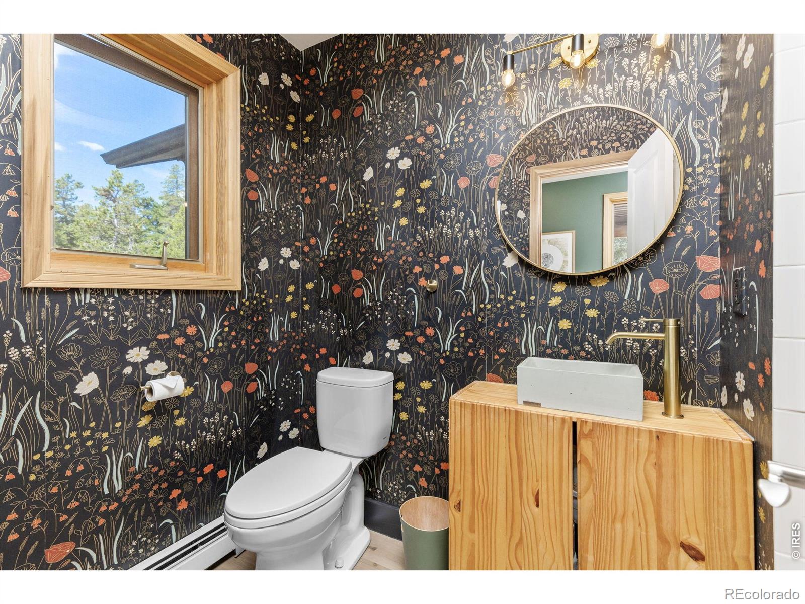 MLS Image #19 for 25  shoshoni way,nederland, Colorado