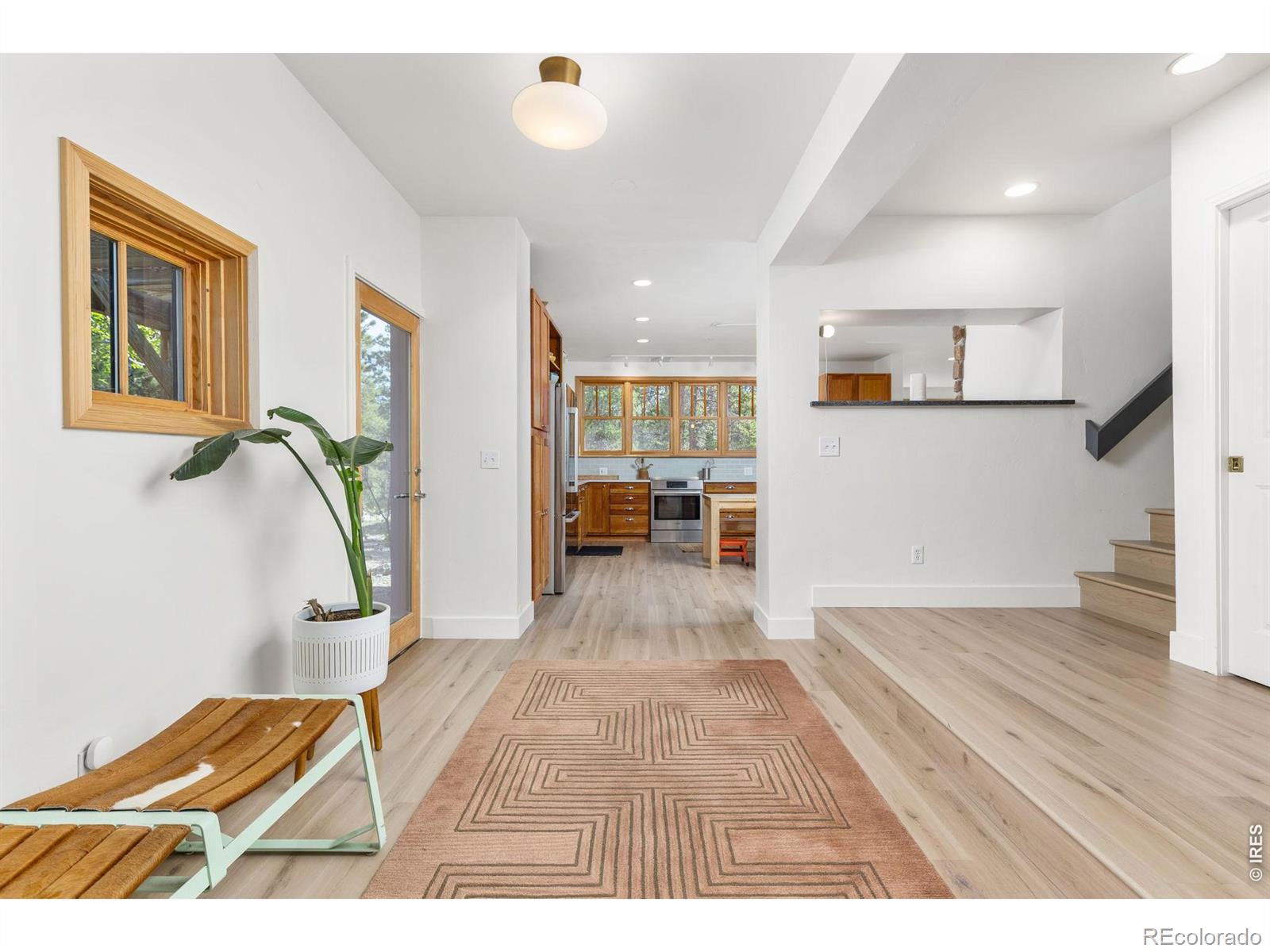 MLS Image #7 for 25  shoshoni way,nederland, Colorado