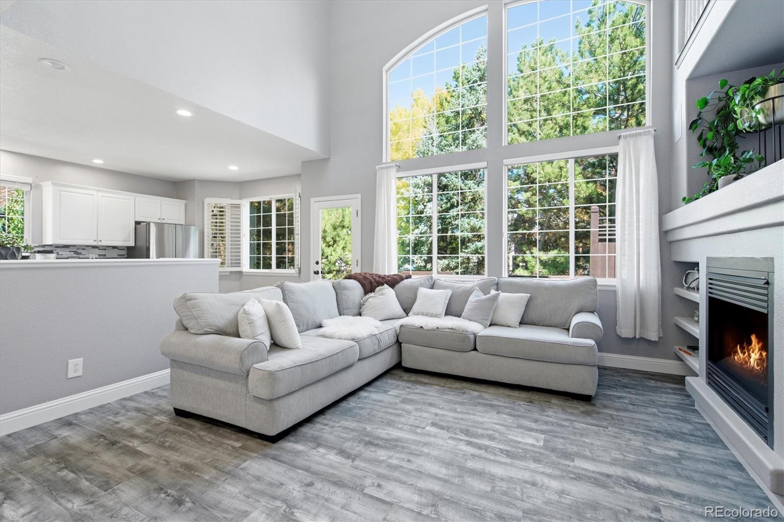 MLS Image #10 for 7453  indian wells cove,lone tree, Colorado