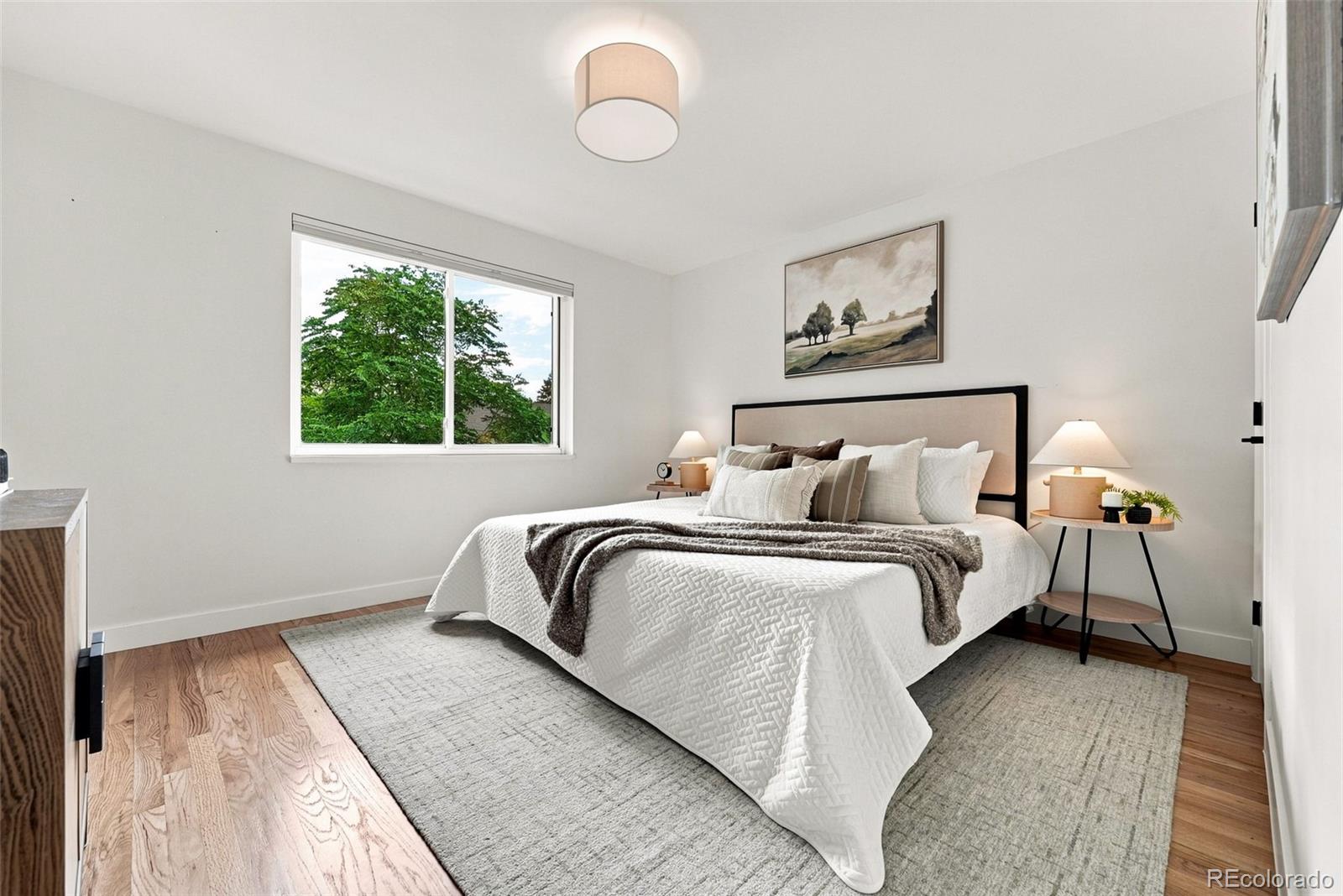 MLS Image #19 for 1364  ivanhoe street,denver, Colorado