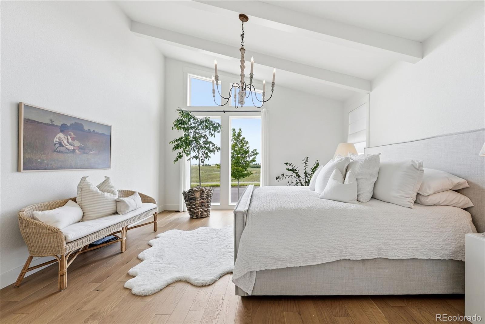 MLS Image #18 for 10110 e 63rd drive,denver, Colorado