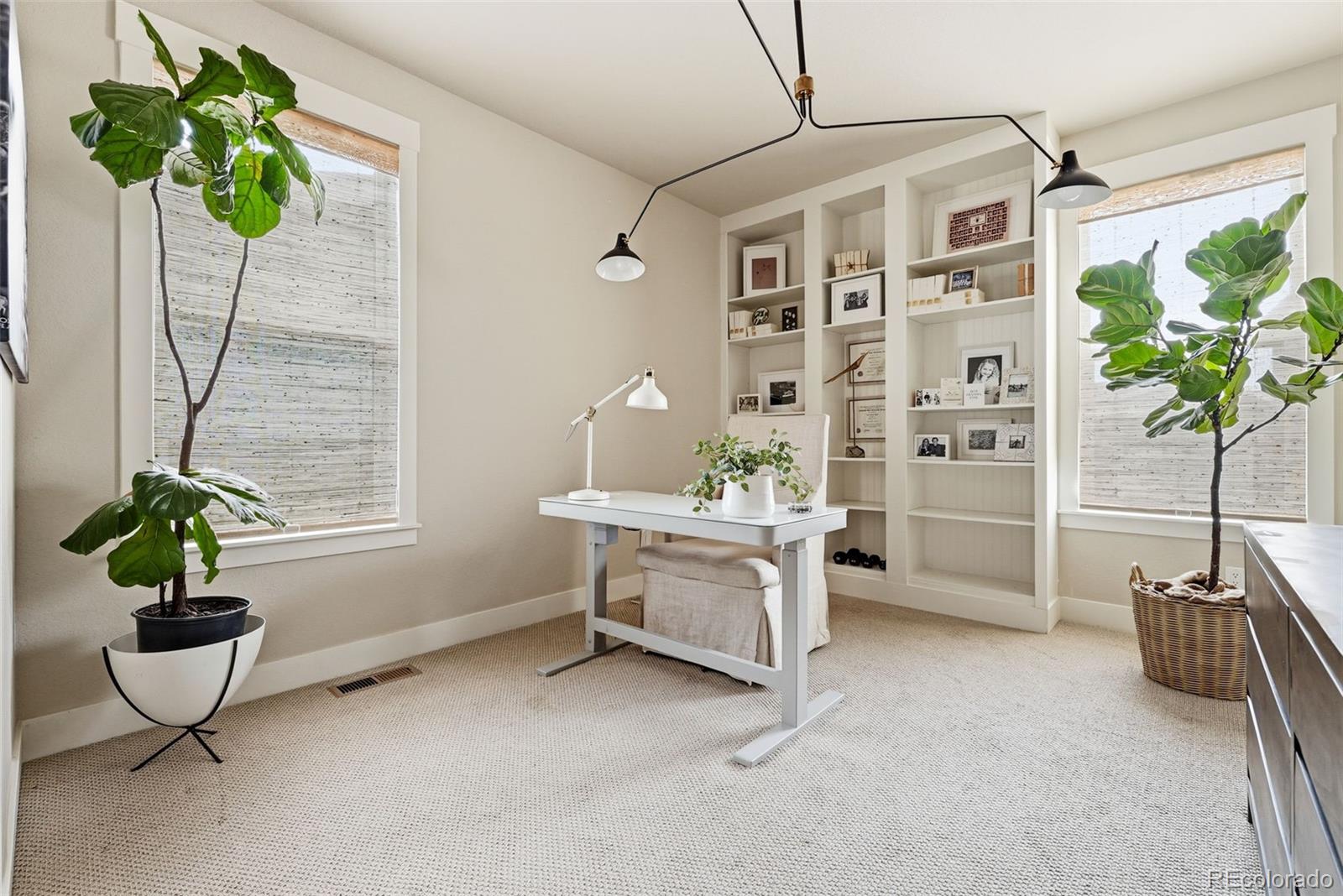 MLS Image #23 for 10110 e 63rd drive,denver, Colorado