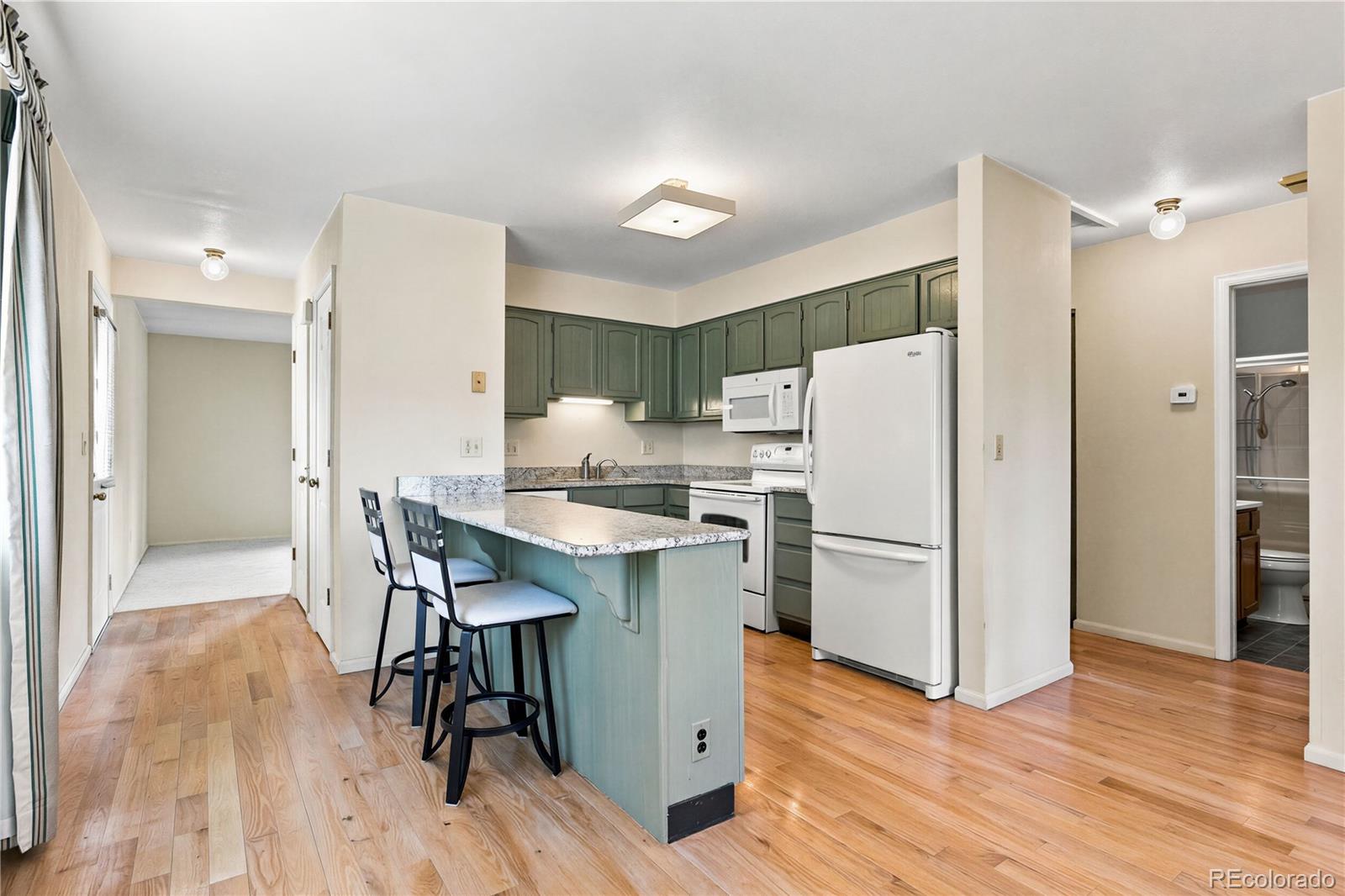 MLS Image #15 for 412 s balsam street,denver, Colorado