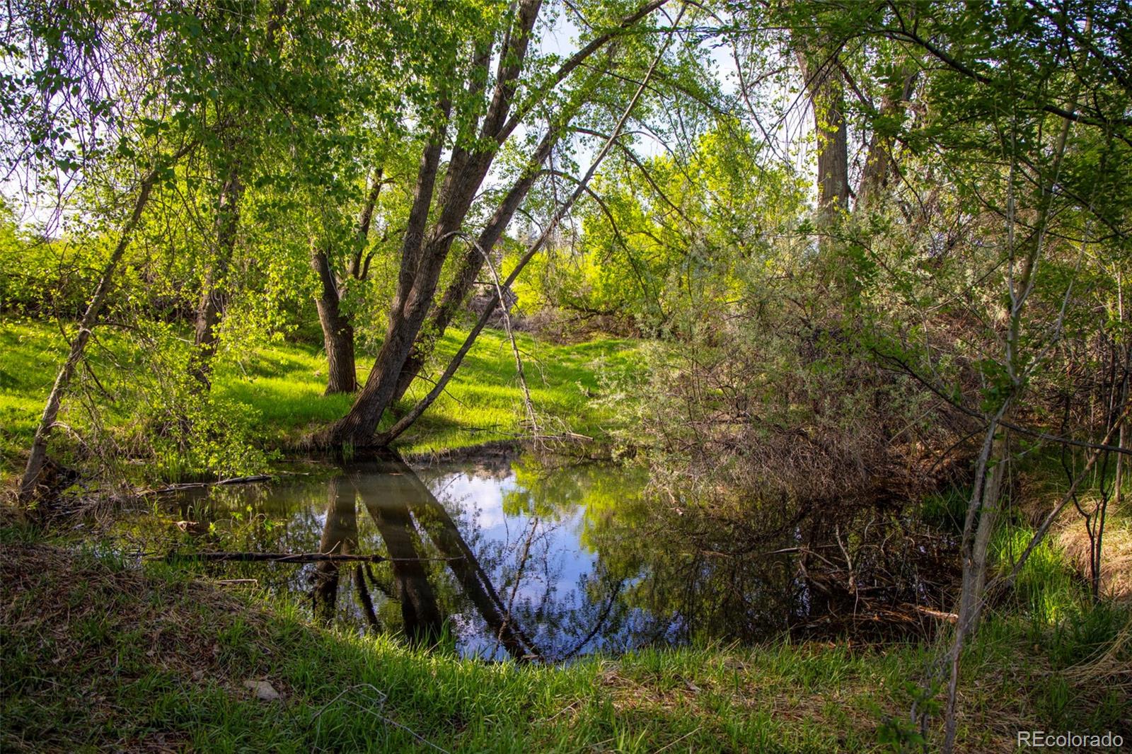 MLS Image #29 for 7467 w us highway 34 ,loveland, Colorado
