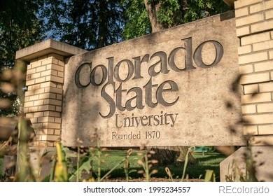 MLS Image #32 for 3017  tulane drive,fort collins, Colorado